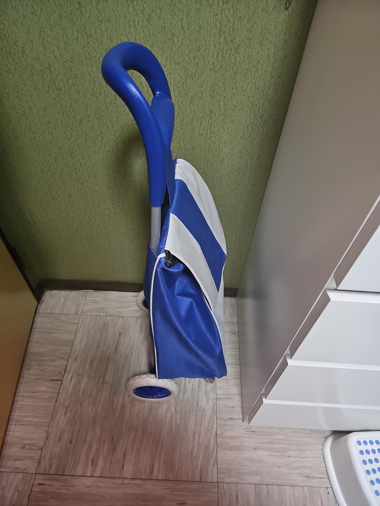 Akitaink Carrello Portaspesa 42L Trolley Antipioggia con Zip