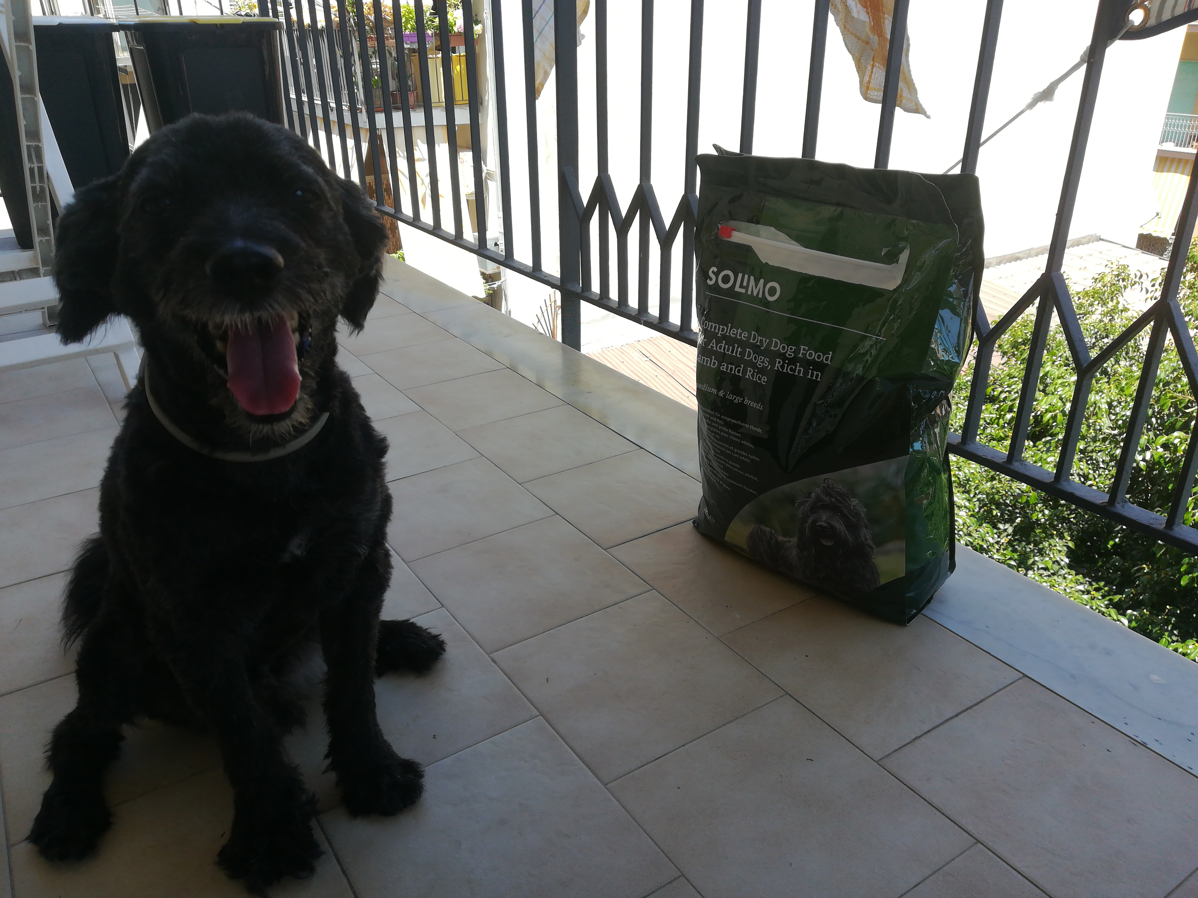 by Amazon Agnello e Riso crocchette cane 20 kg adulto