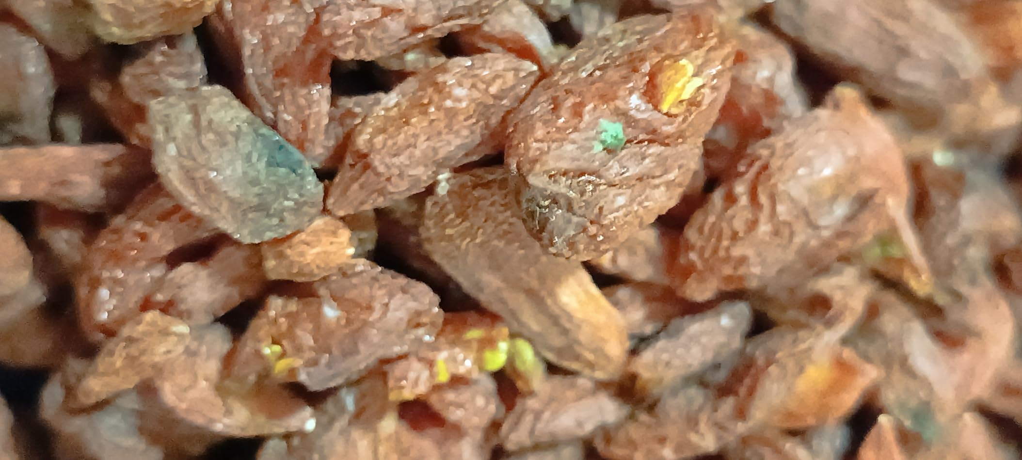 by Amazon Bacche di Goji Essiccate 6 x 200 g ricche di fibre