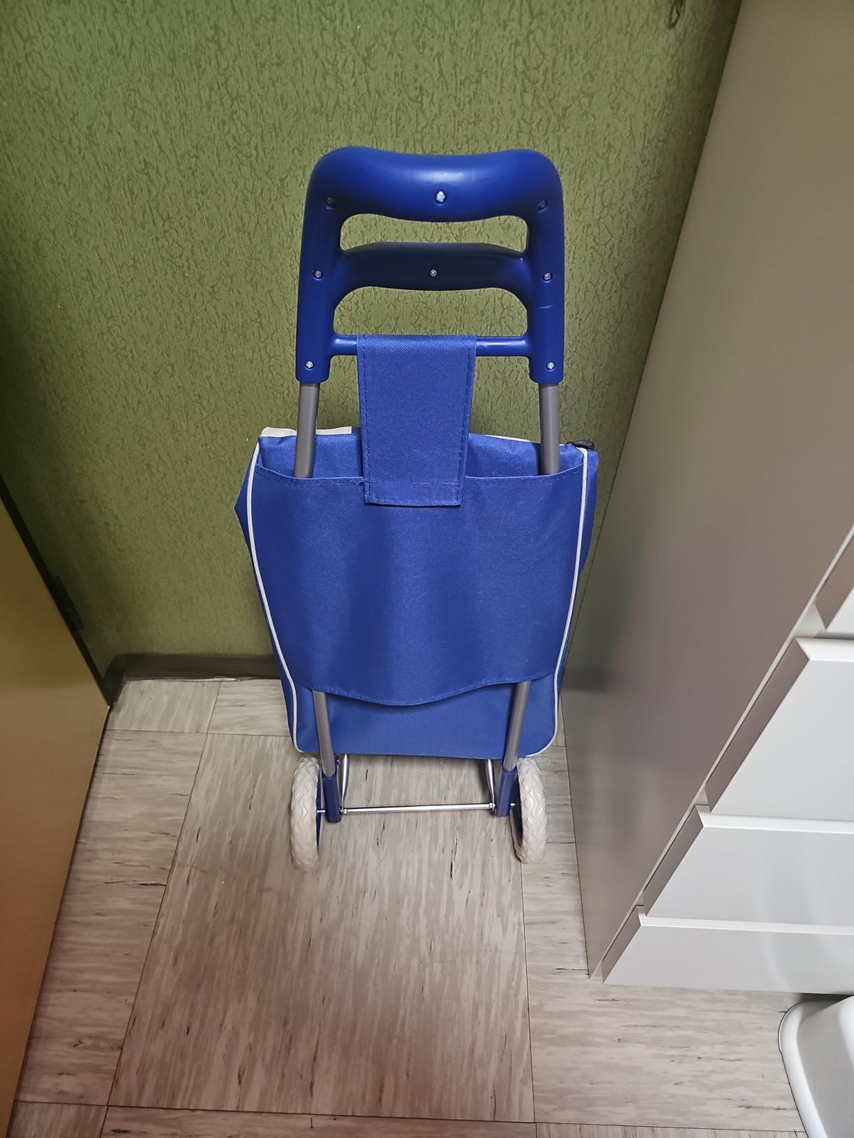Akitaink Carrello Portaspesa 42L Trolley Antipioggia con Zip