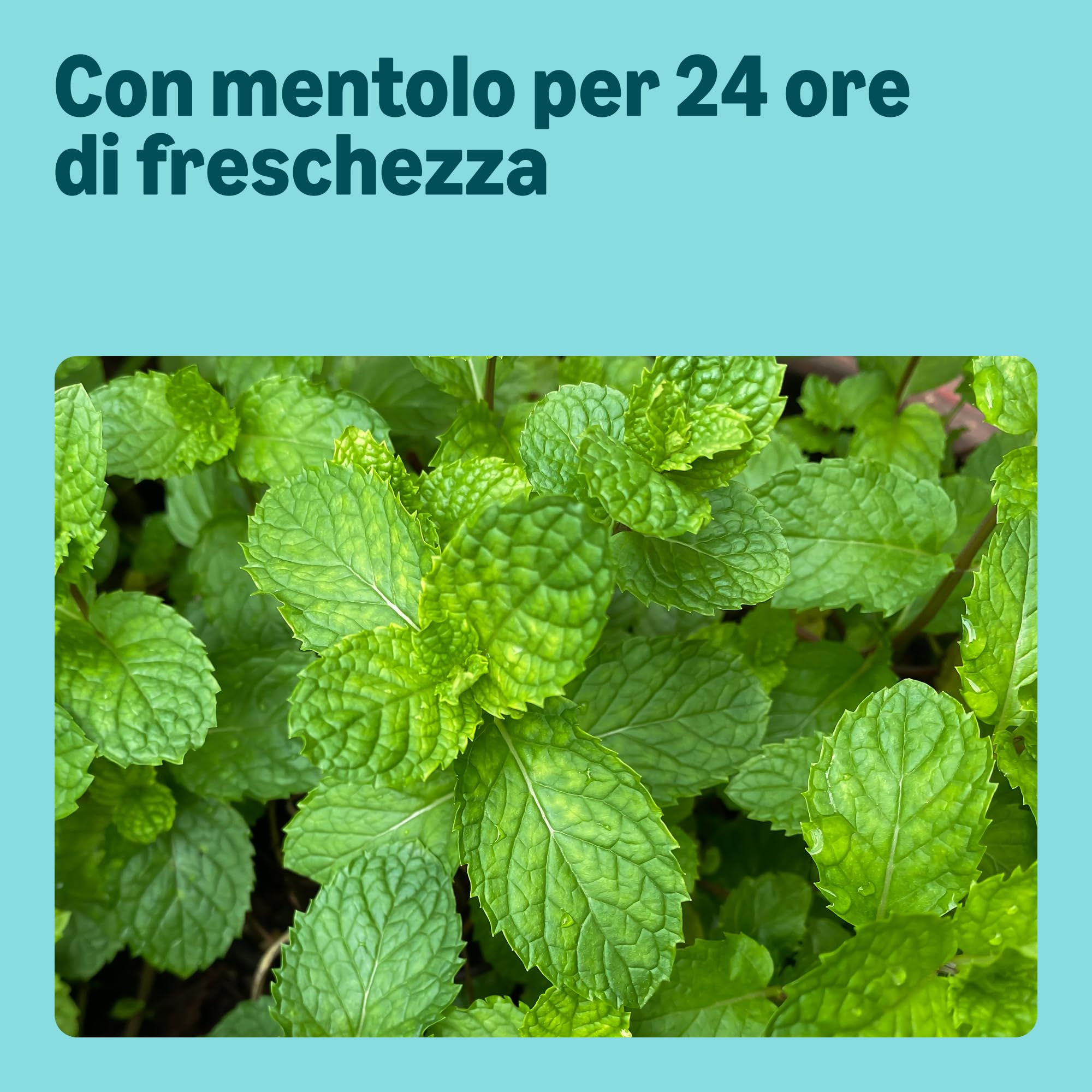 by Amazon Sport gel doccia 3 in 1 2 x 500 ml mentolo