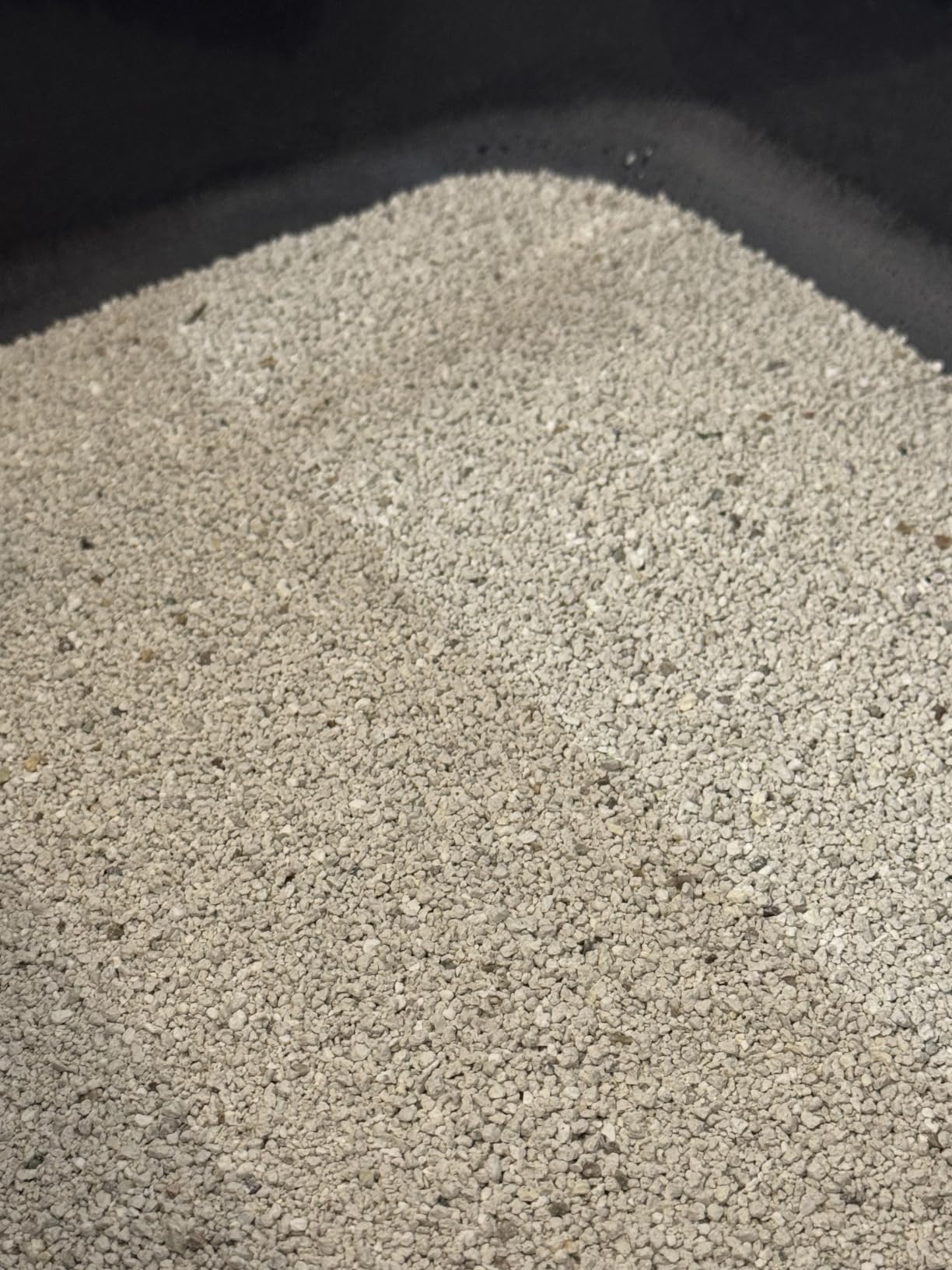 by Amazon Ultra lettiera gatto agglomerante bianca 10 L