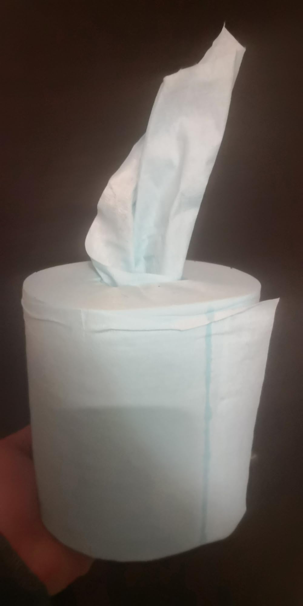 Tork Low-Lint Panno Pulizia W10 Turchese 4x200 strappi