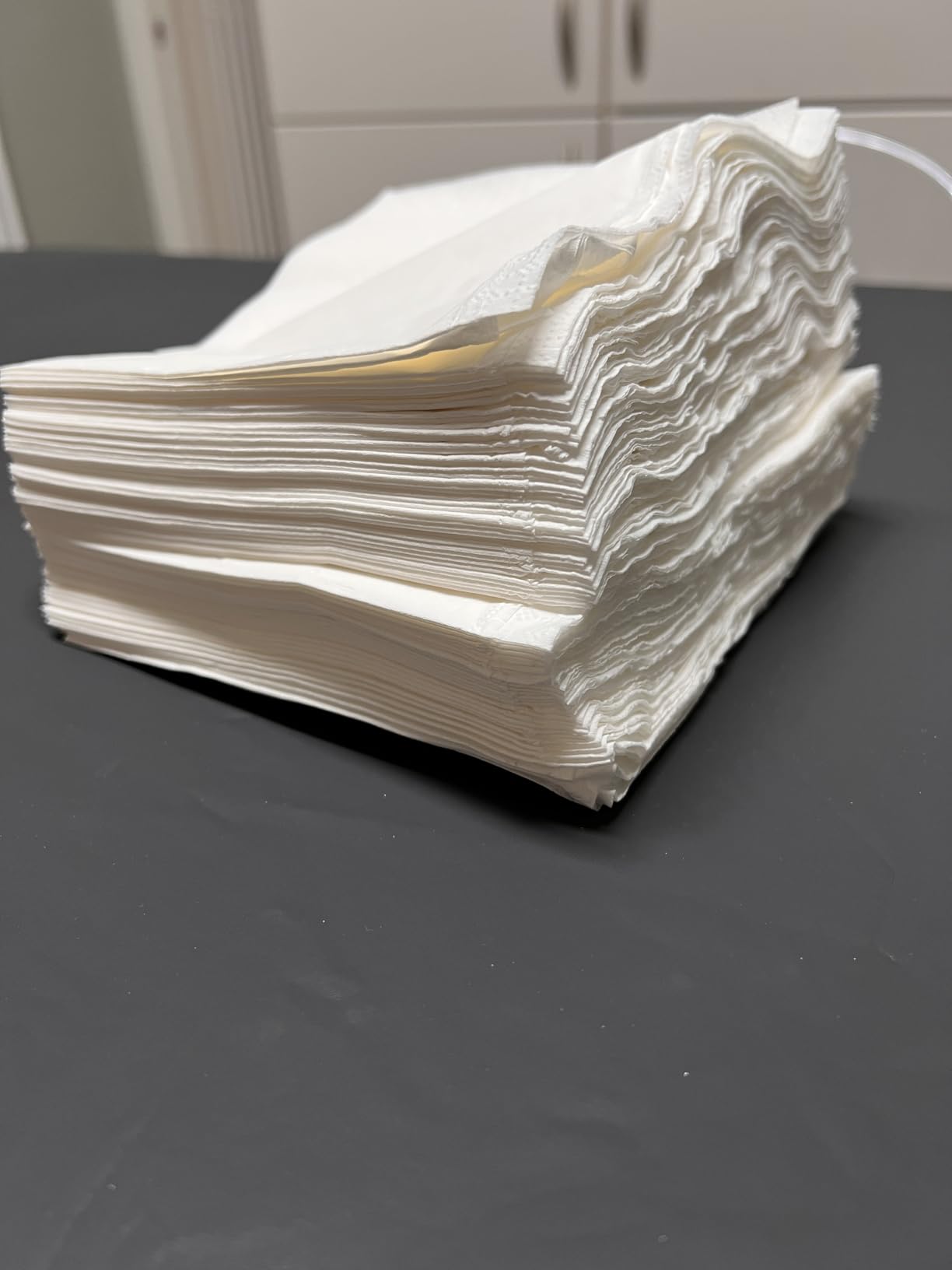 Akitaink Tovaglioli 2 veli decorati 1000 pezzi pura cellulosa