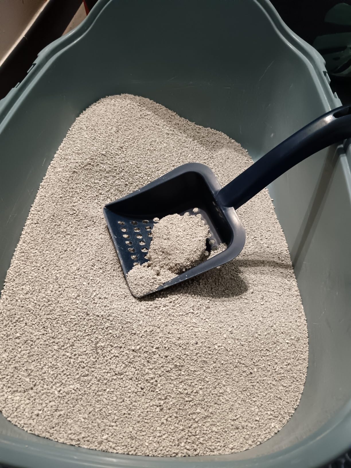 by Amazon Ultra lettiera gatto agglomerante bianca 10 L