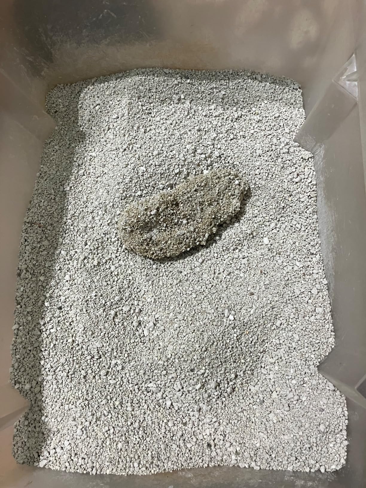 by Amazon Ultra lettiera gatto agglomerante bianca 10 L