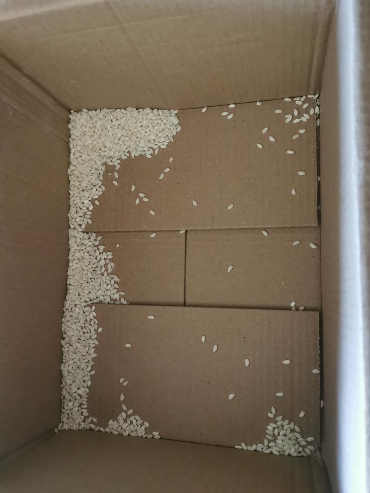 by Amazon Riso Arborio per Risotto 500 g Cremoso