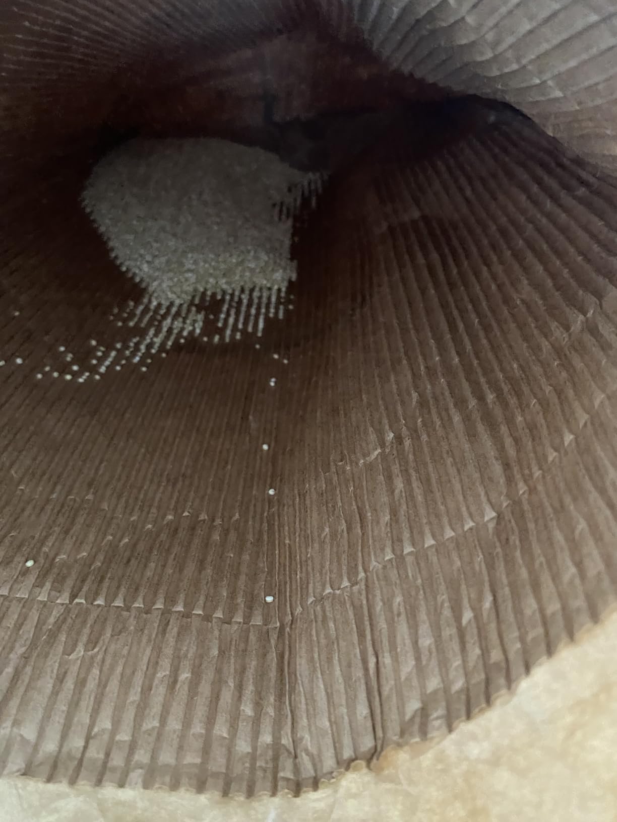 by Amazon Quinoa Biologica Bianca 500 g fonte di fibre