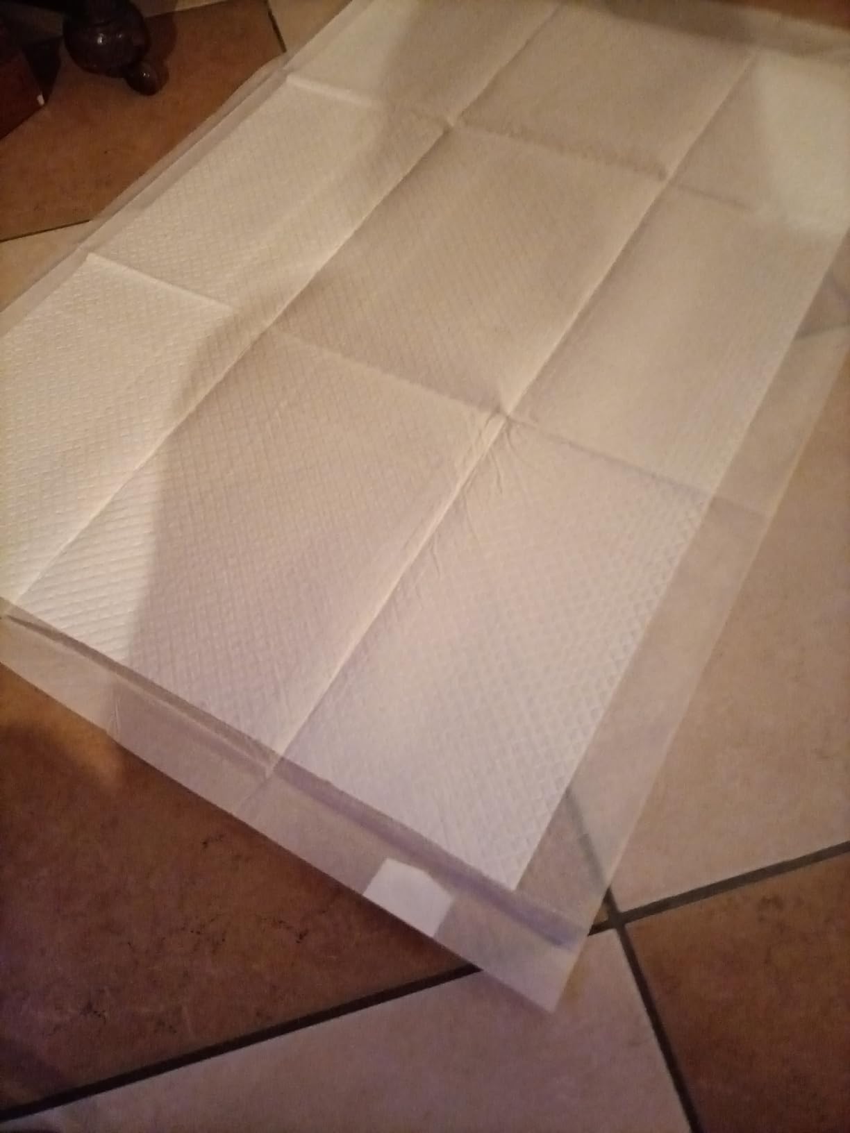 Akitaink traverse assorbenti 60x60 cm 120 pz antiodore