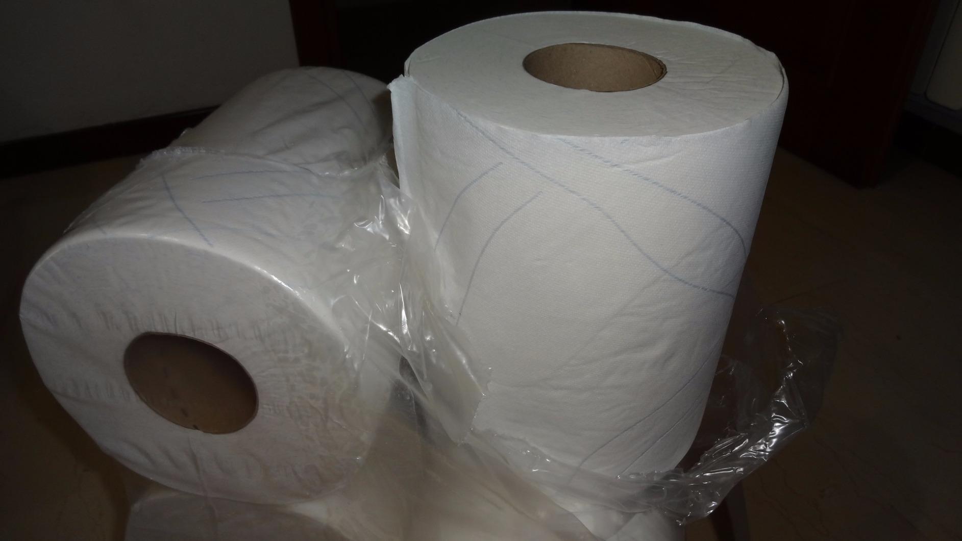 Tork Plus carta asciugatura 6 rotoli 450 fogli assorbente