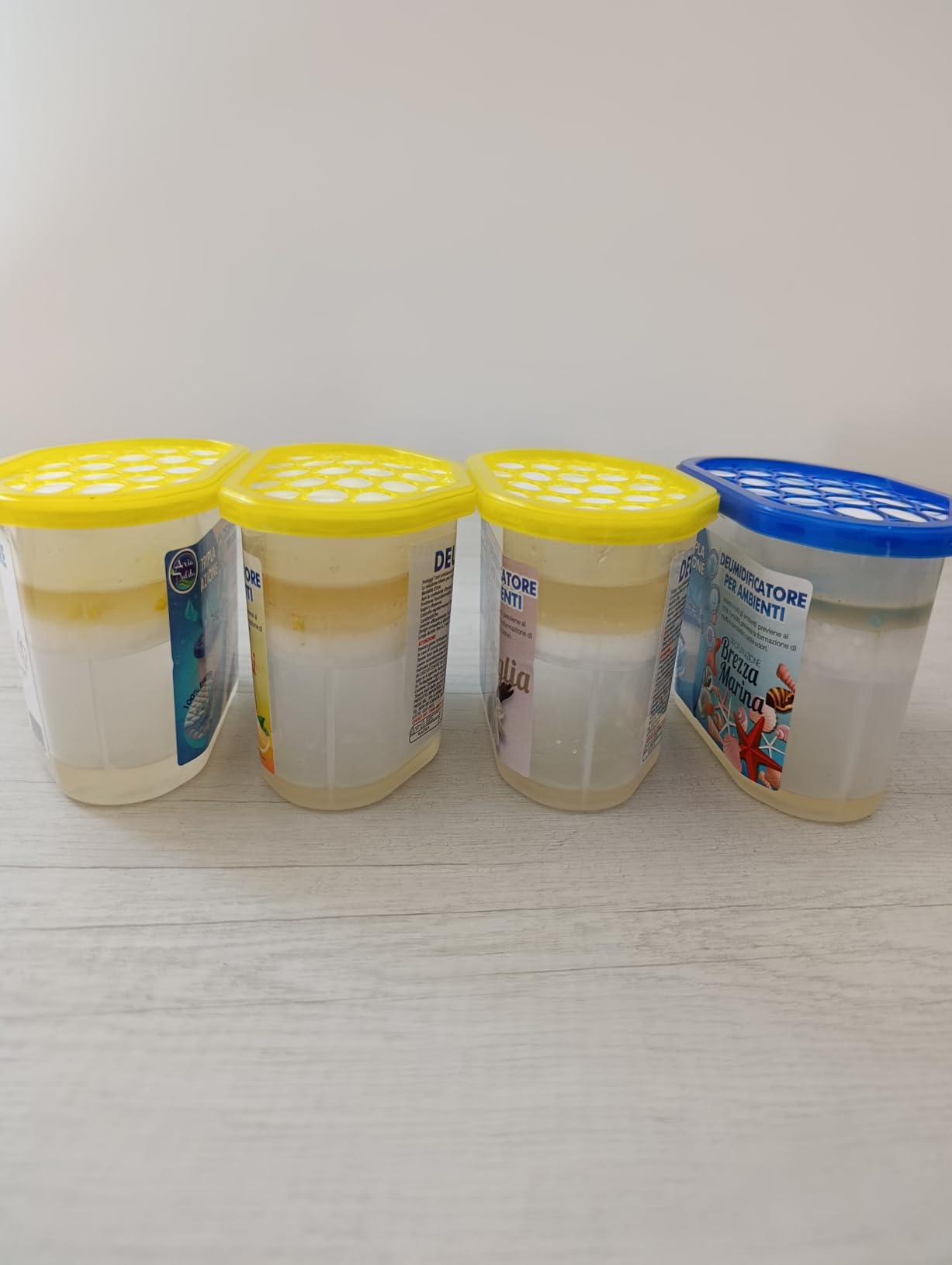 Akitaink Assorbiumidità 500 ml 6 pezzi profumati anti muffa