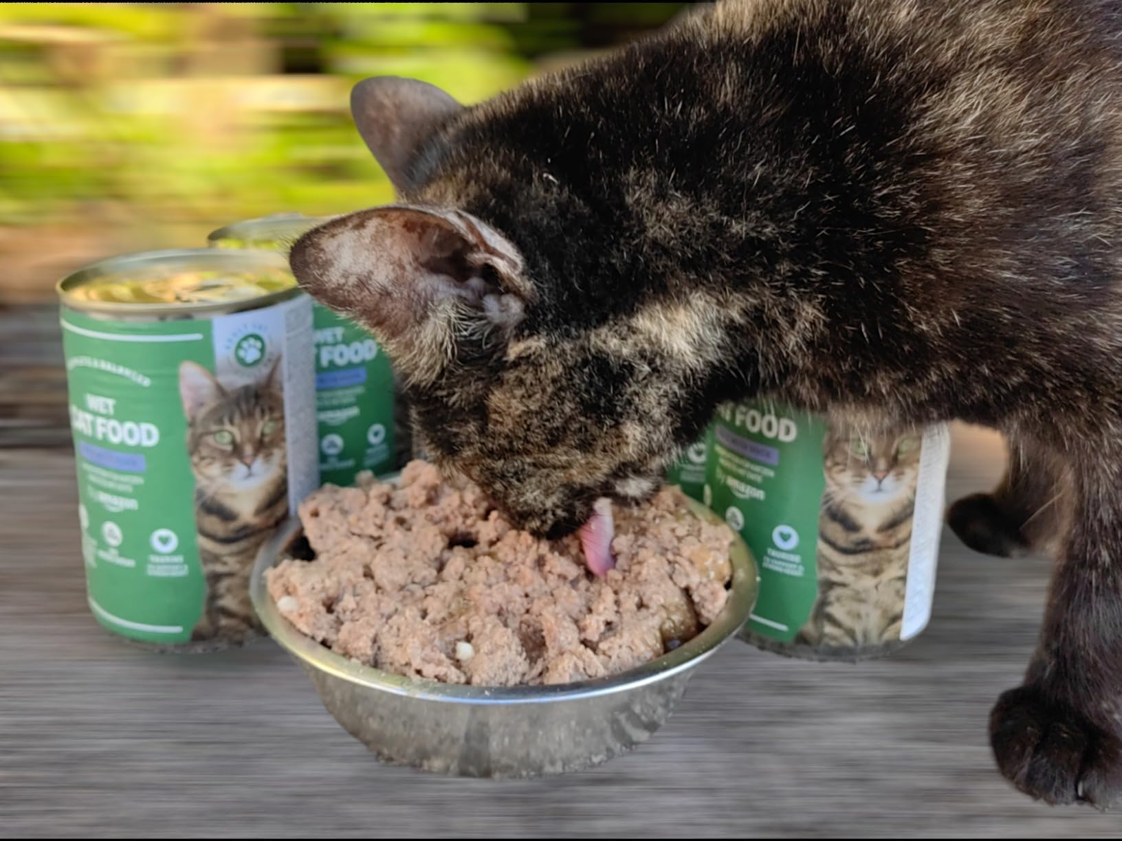 by Amazon Cibo Umido Gatto Paté Anatra 12x400g Senza Cereali