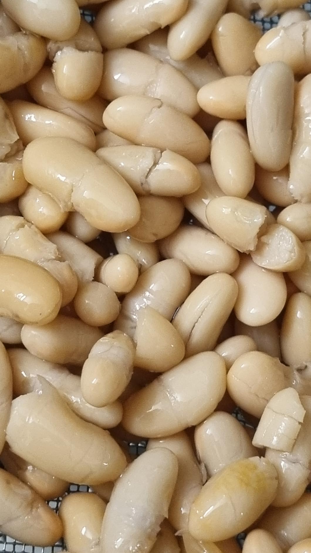 by Amazon Fagioli Cannellini in Acqua 400g vegani