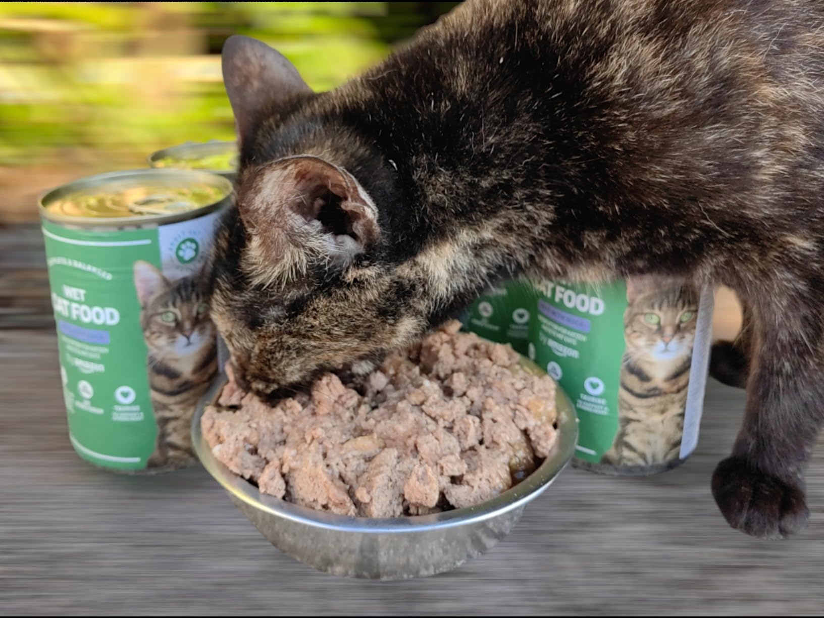 by Amazon Cibo Umido Gatto Paté Anatra 12x400g Senza Cereali