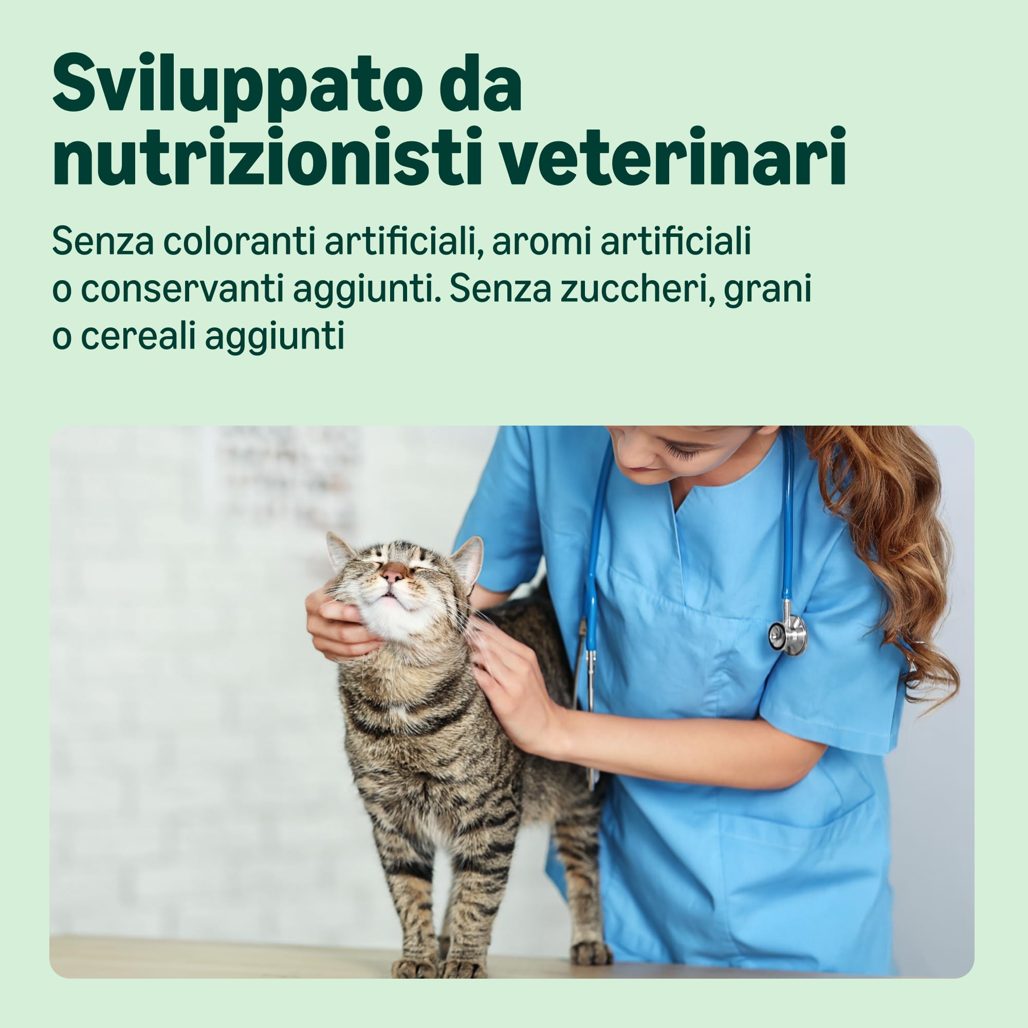 by Amazon Paté di Selvaggina Cibo per Gatti 100 g x16