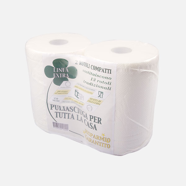 Cesa Carta Puliasciuga asciugamano in rotolo 2 rotoli