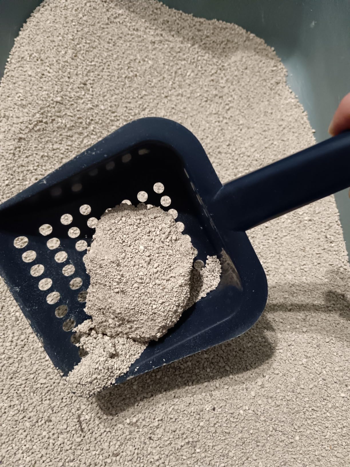 by Amazon Ultra lettiera gatto agglomerante bianca 10 L