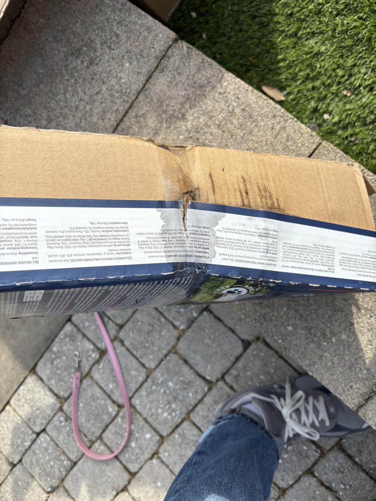 by Amazon Paté di Manzo Cibo Umido per Cani 300 g x10