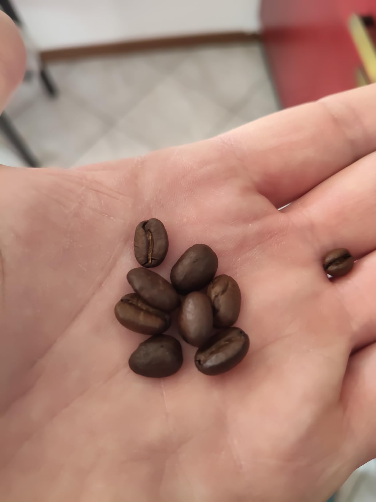 by Amazon caffè brasiliano in grani 1 kg arabica tostatura media