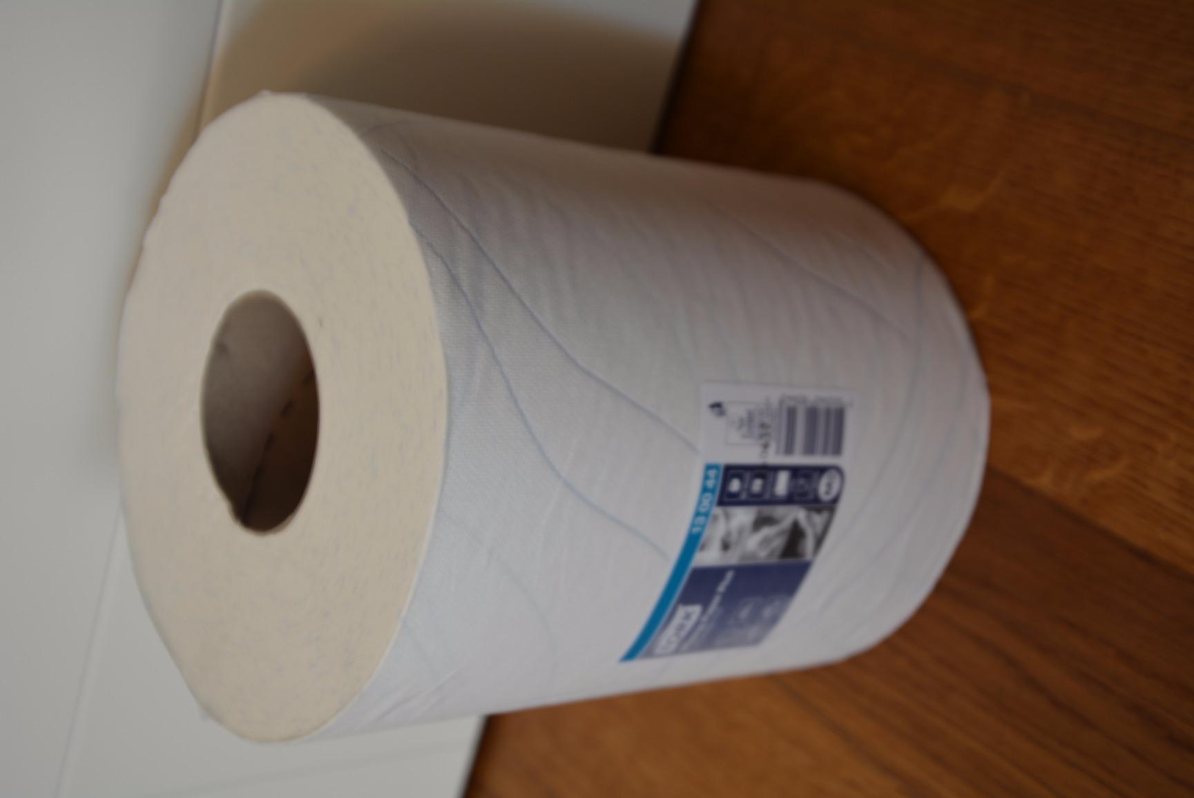 Tork Plus carta asciugatura 6 rotoli 450 fogli assorbente
