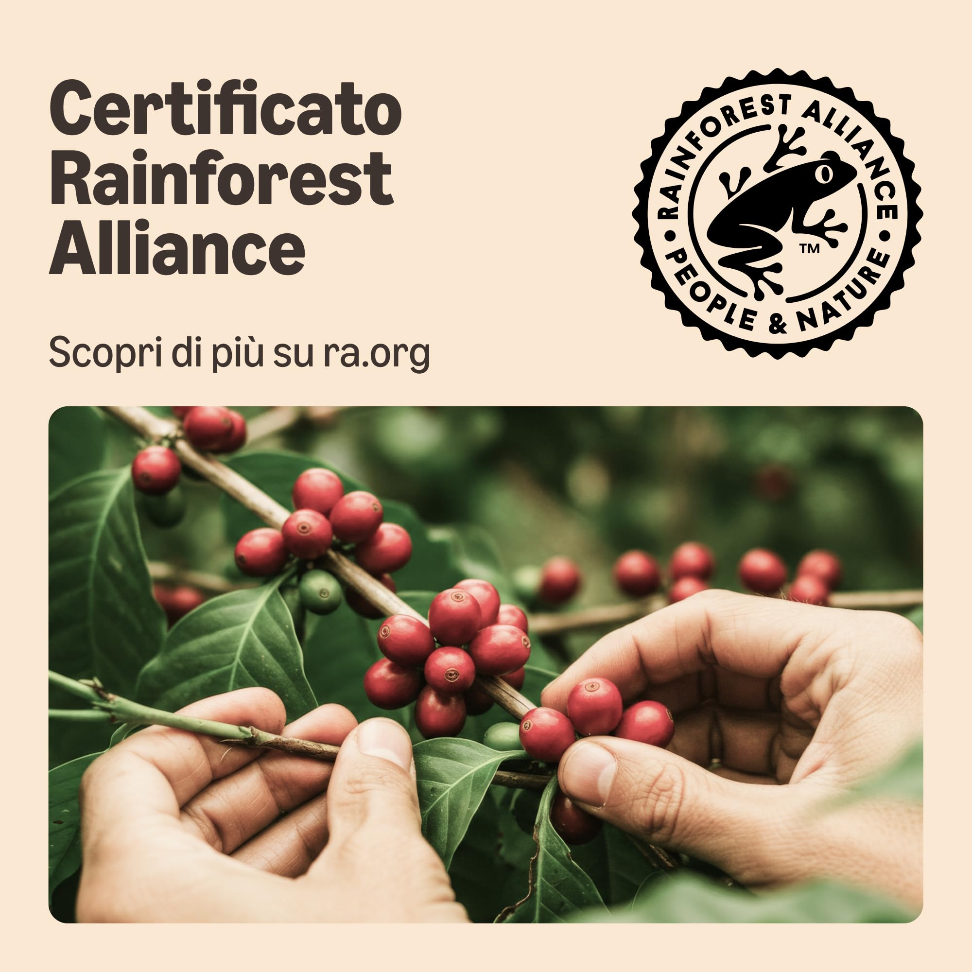 by Amazon Lungo Intenso capsule caffè Nespresso 100 pezzi