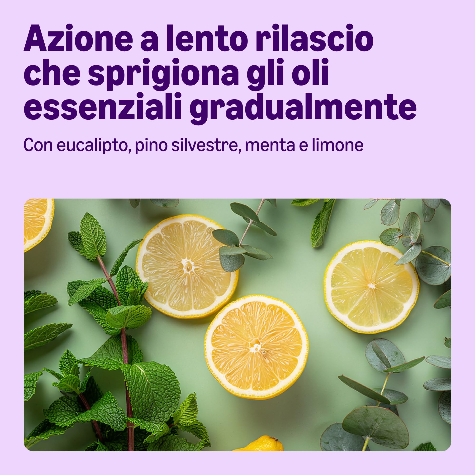 by Amazon Cerotti Diffusori Eucalipto 15 Unità