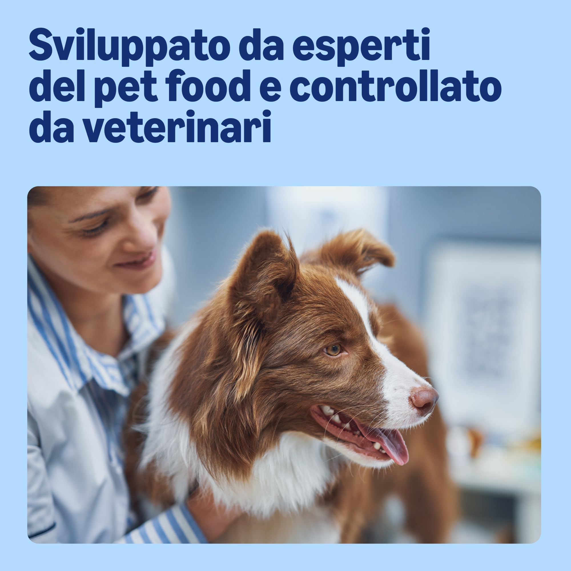 by Amazon Agnello e Riso crocchette cane 20 kg adulto