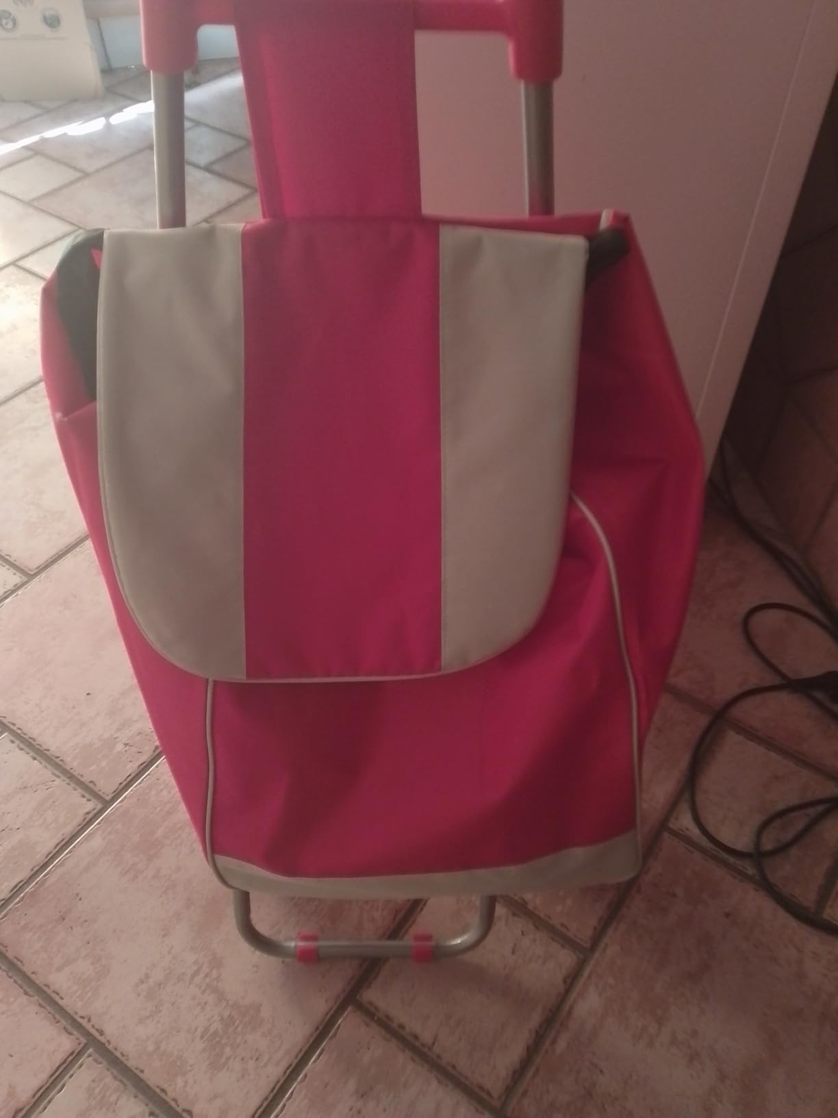 Akitaink Carrello Portaspesa 42L Trolley Antipioggia con Zip