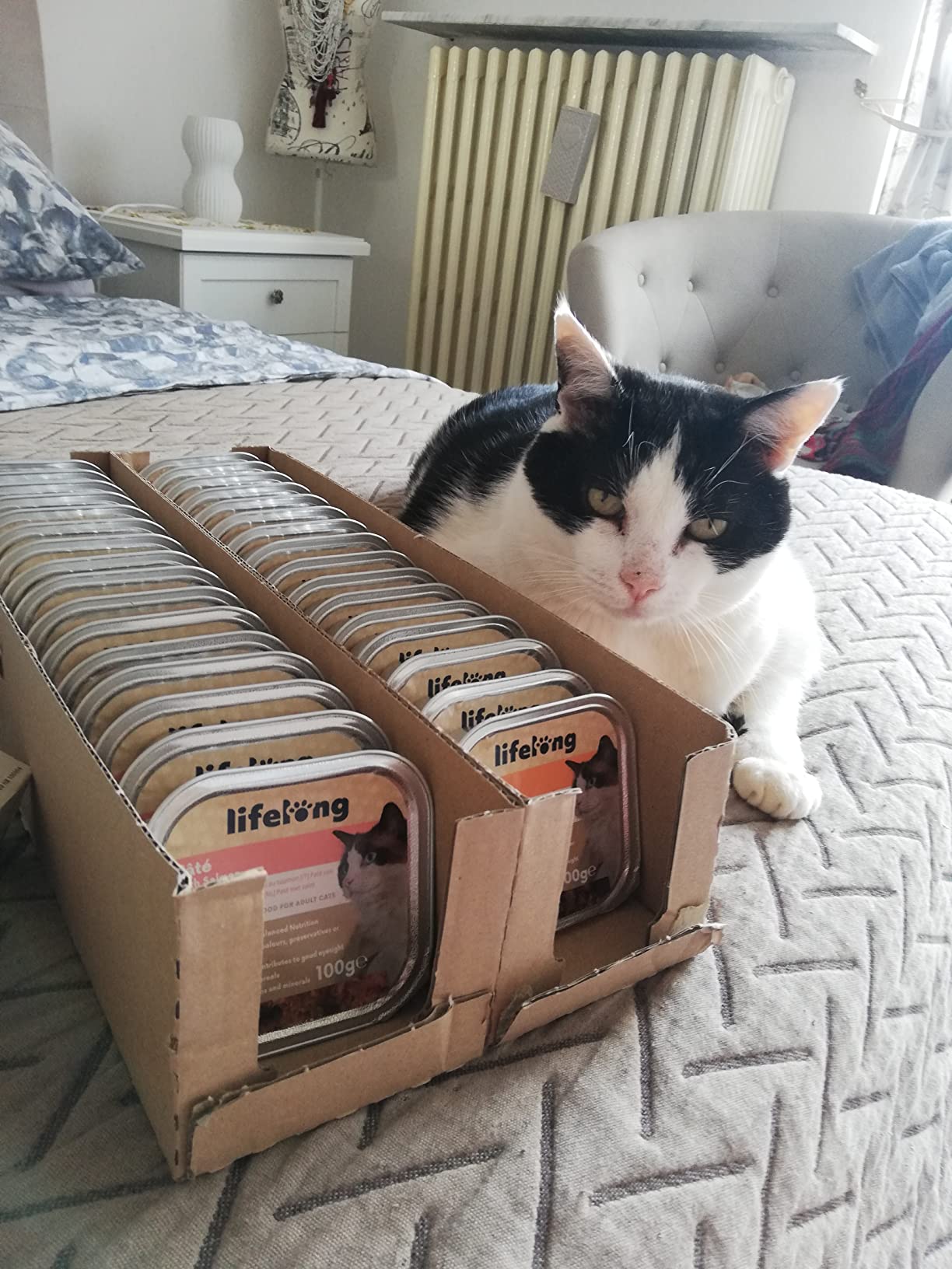 by Amazon Paté di Selvaggina Cibo per Gatti 100 g x16