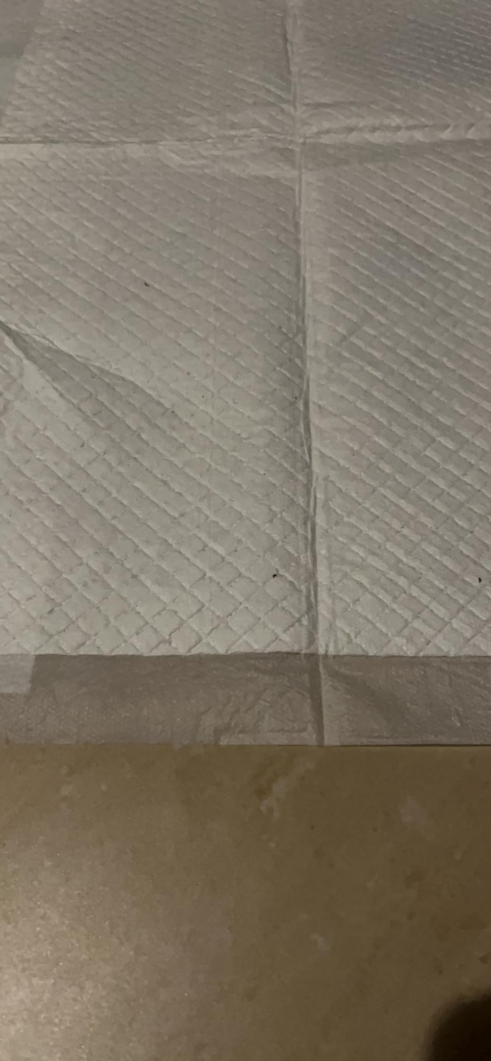 Akitaink traverse assorbenti 60x60 cm 120 pz antiodore