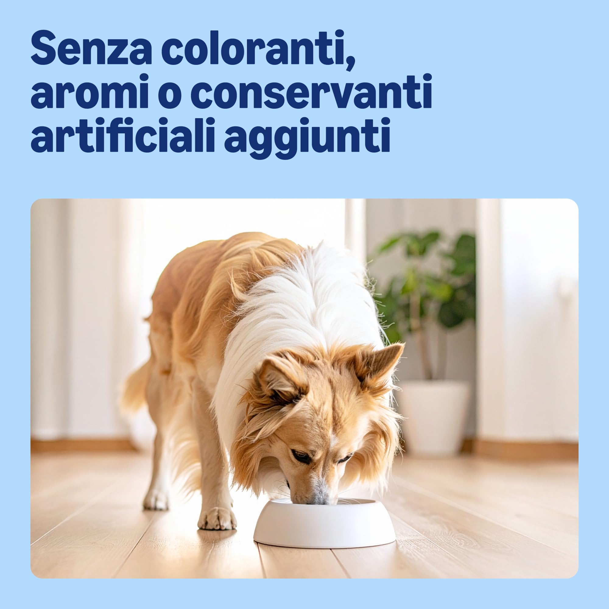 by Amazon Agnello e Riso crocchette cane 20 kg adulto