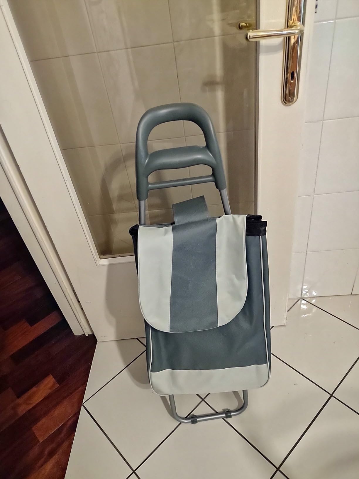 Akitaink Carrello Portaspesa 42L Trolley Antipioggia con Zip