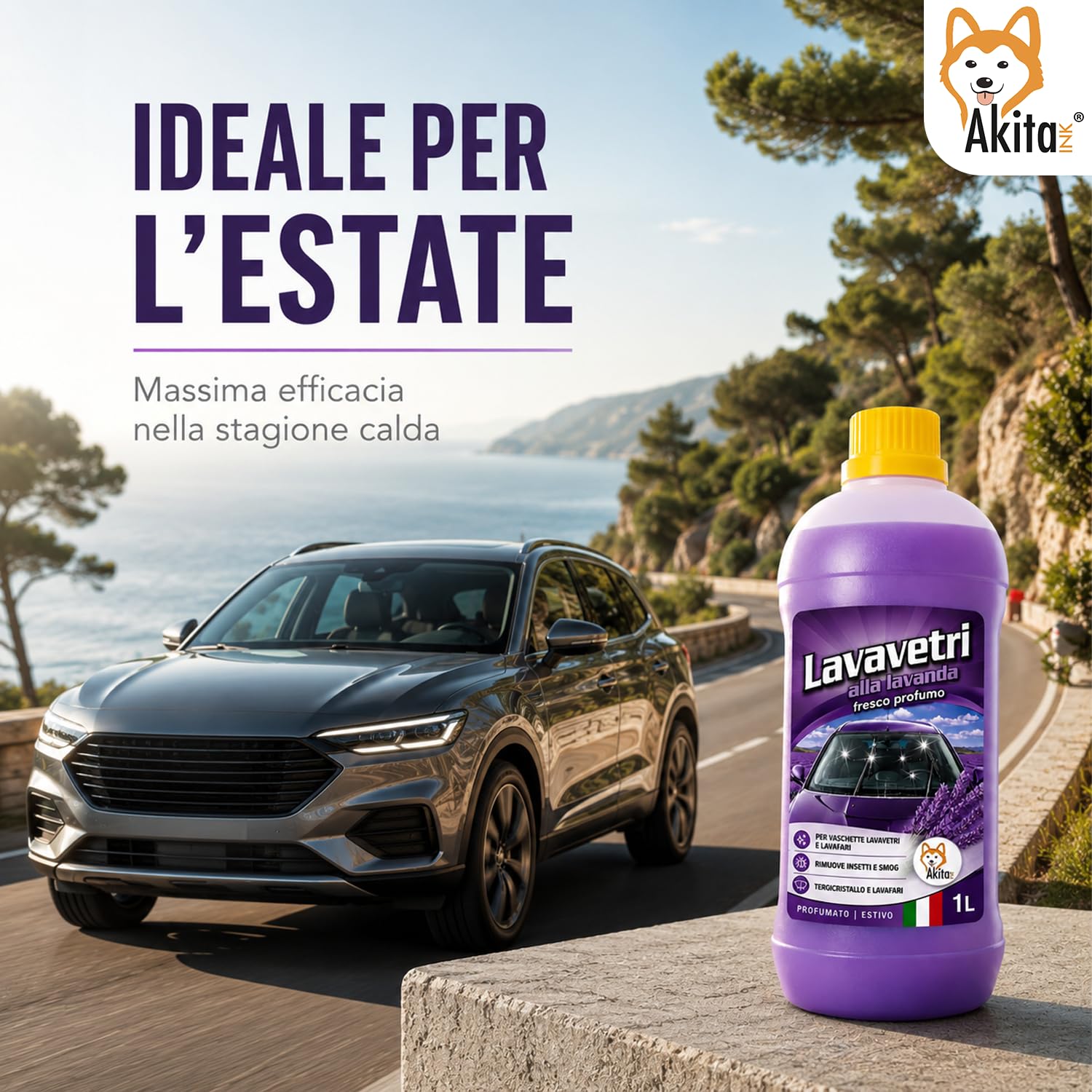 Akitaink Lavavetri Auto Estivo Concentrato 1 L Lavanda