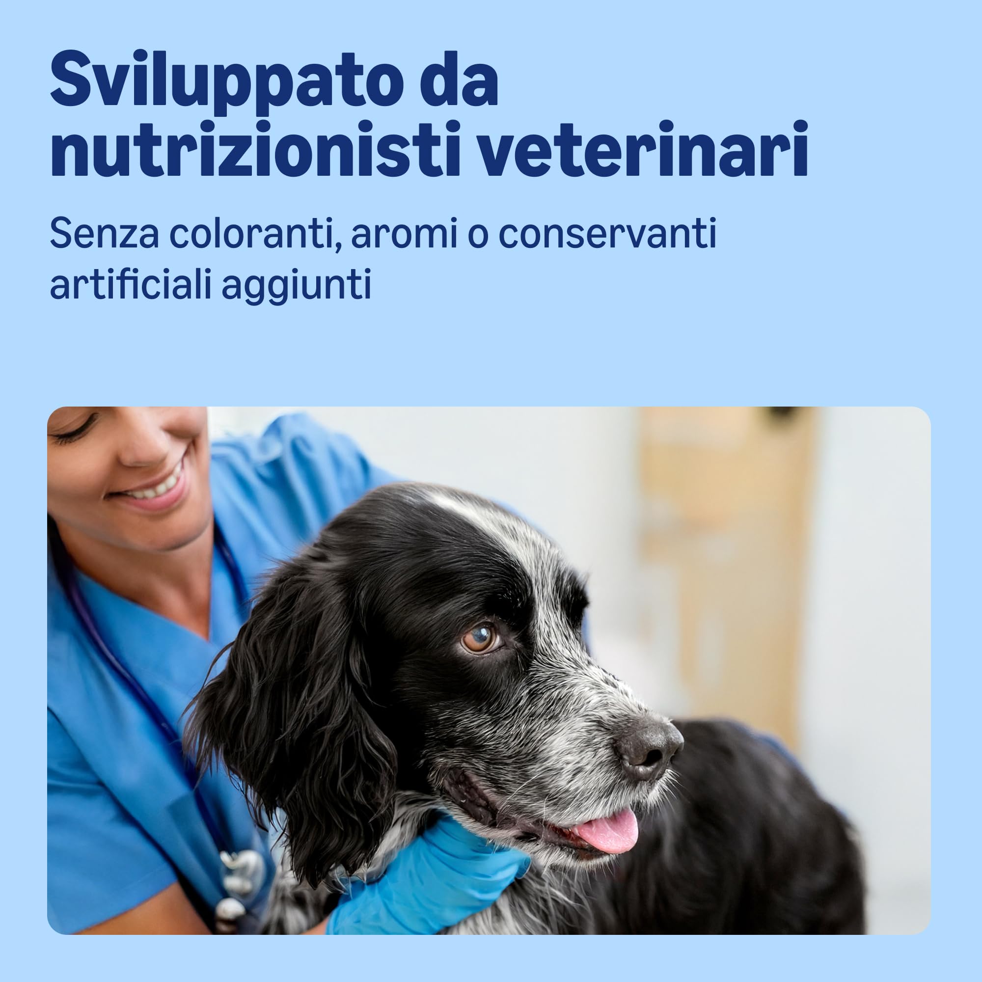 by Amazon Paté di Manzo Cibo Umido per Cani 300 g x10
