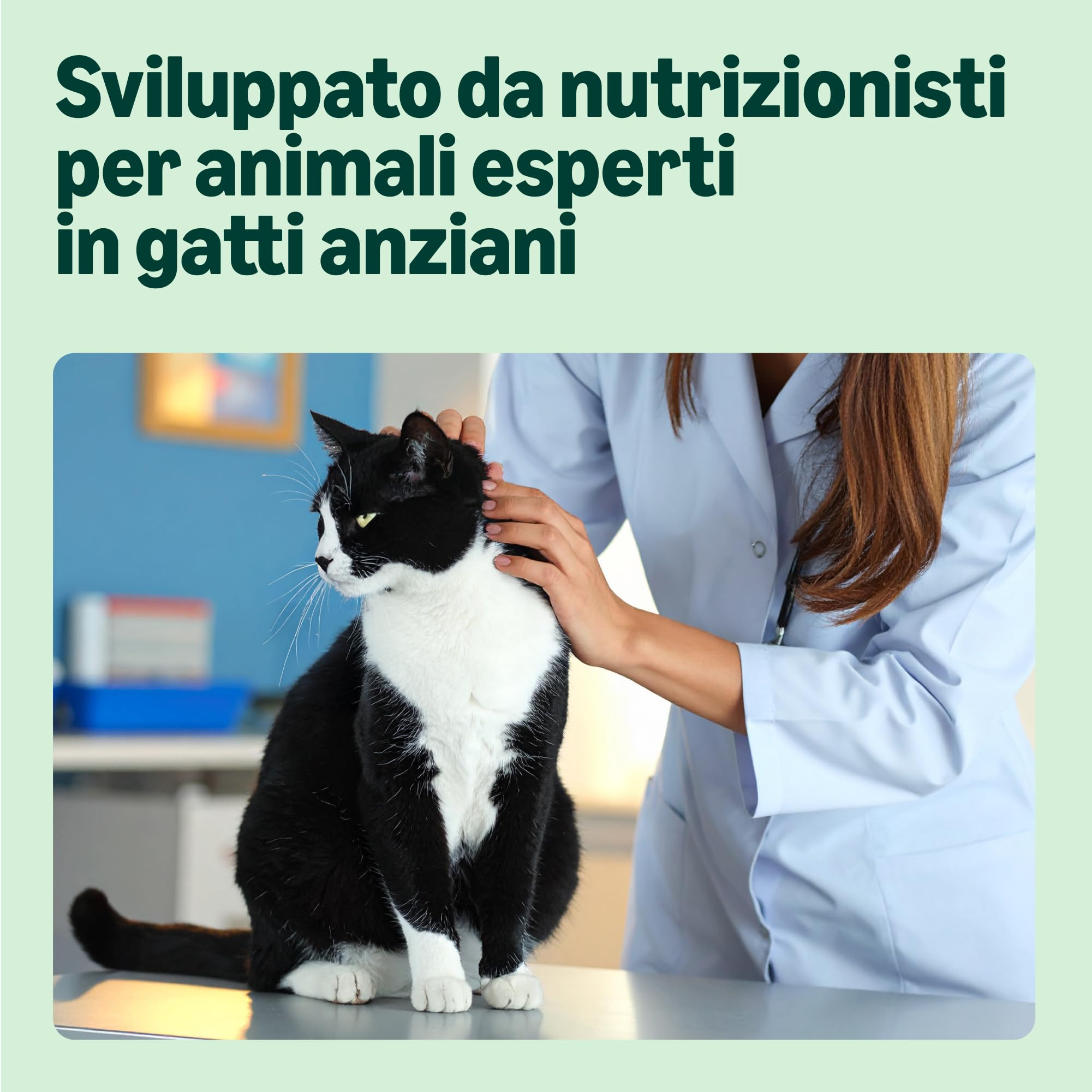 by Amazon Alimento Gatti Anziani Gelatina 48x100 g