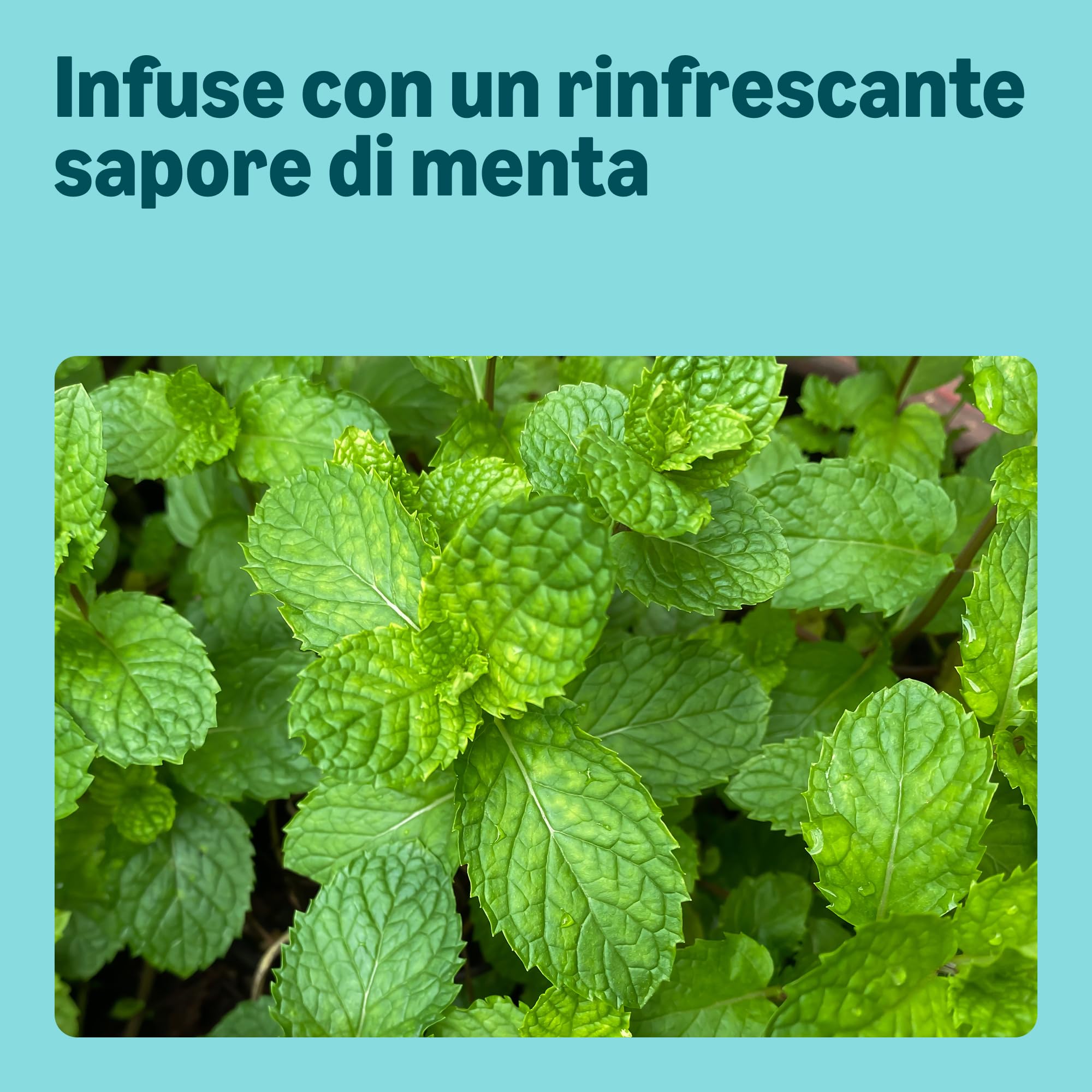by Amazon Extra Forti Compresse Pulizia Dentiere 90 pz Menta Fresca