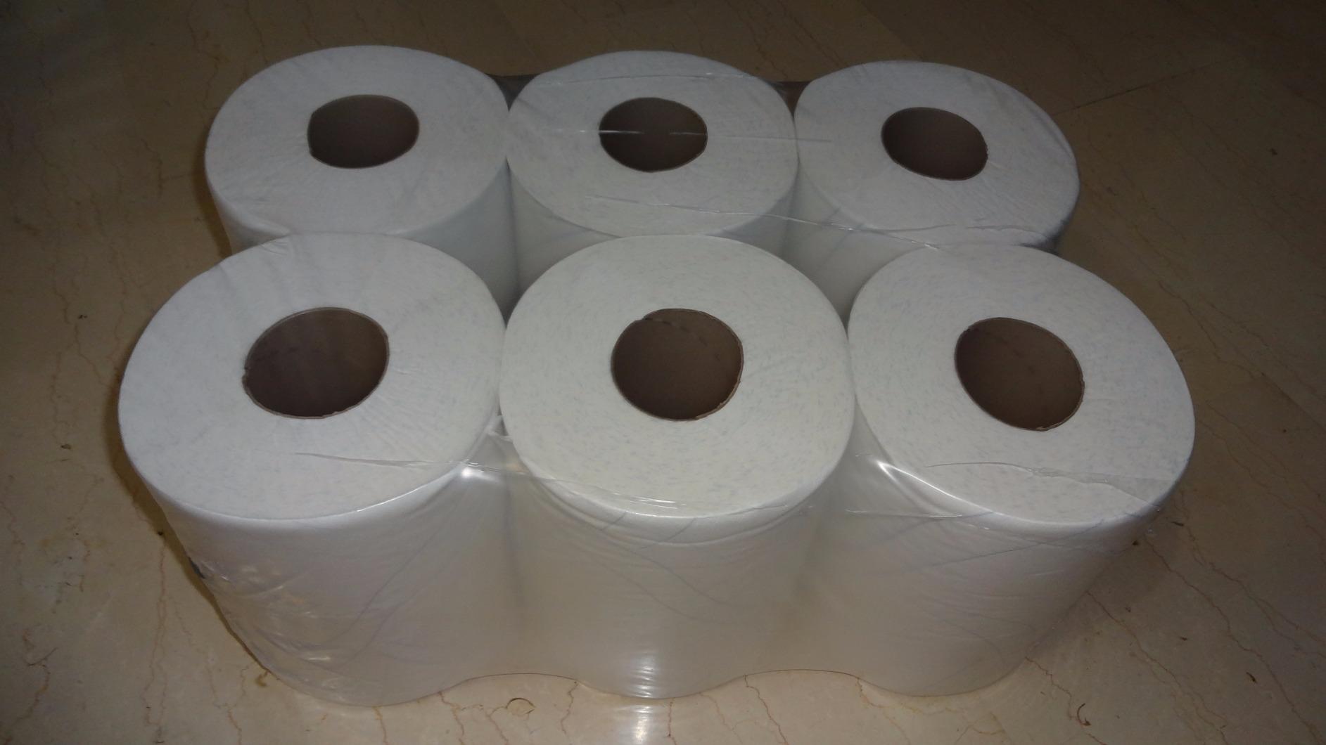 Tork Plus carta asciugatura 6 rotoli 450 fogli assorbente