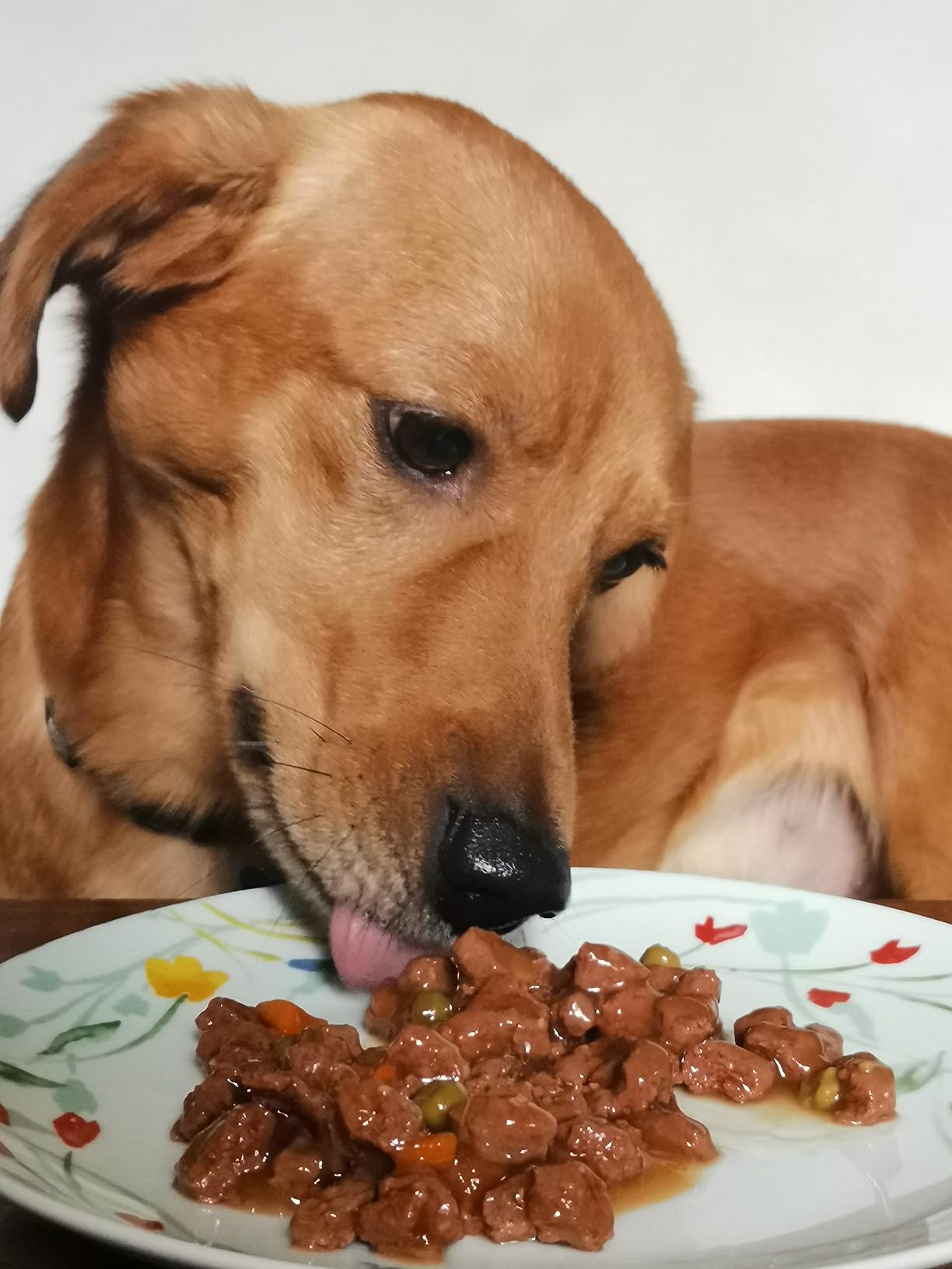 by Amazon Cibo Cani Adulti Salsa Carne 48x100 g
