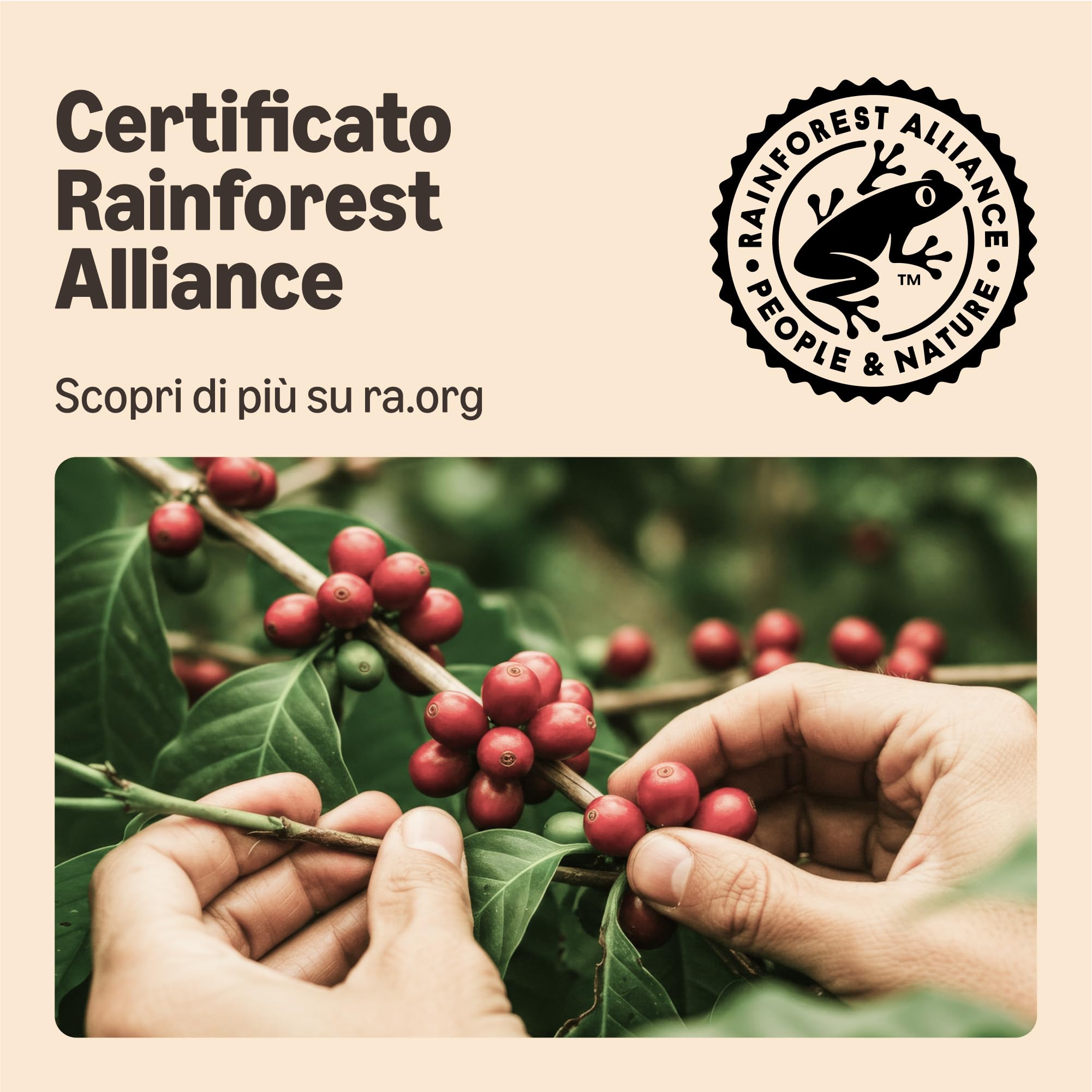 by Amazon Strong Cialde Caffè Arabica Senseo 36 Pezzi tostatura scura