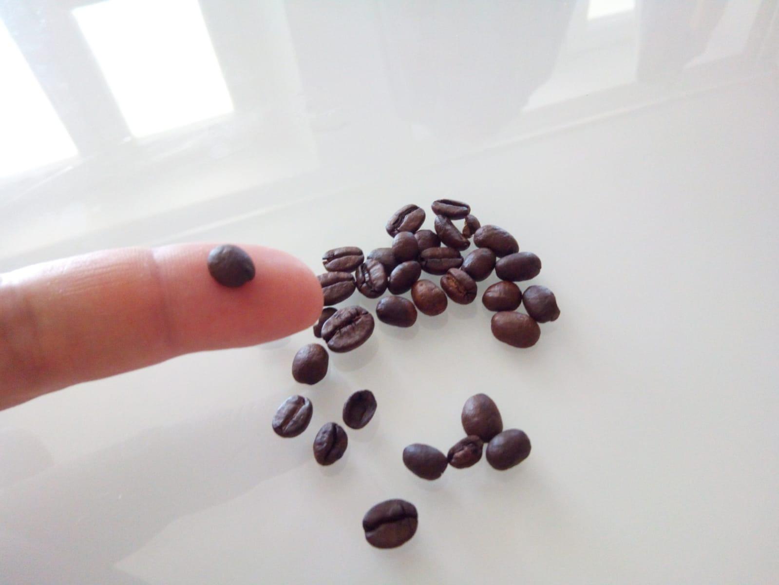 by Amazon 100% Arabica caffe in grani 2kg tostatura media