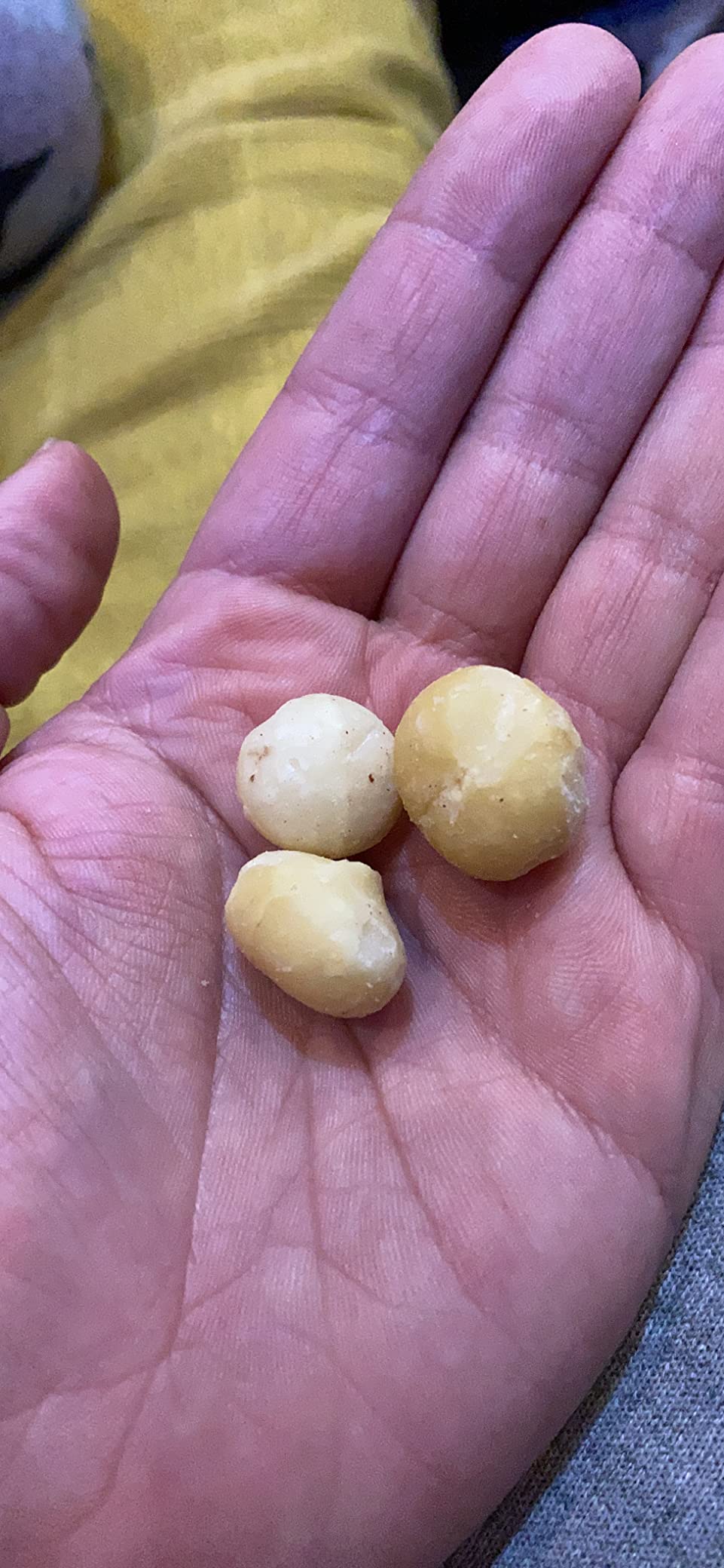 by Amazon Noci di Macadamia Intere 500 g Non Salate Vegane