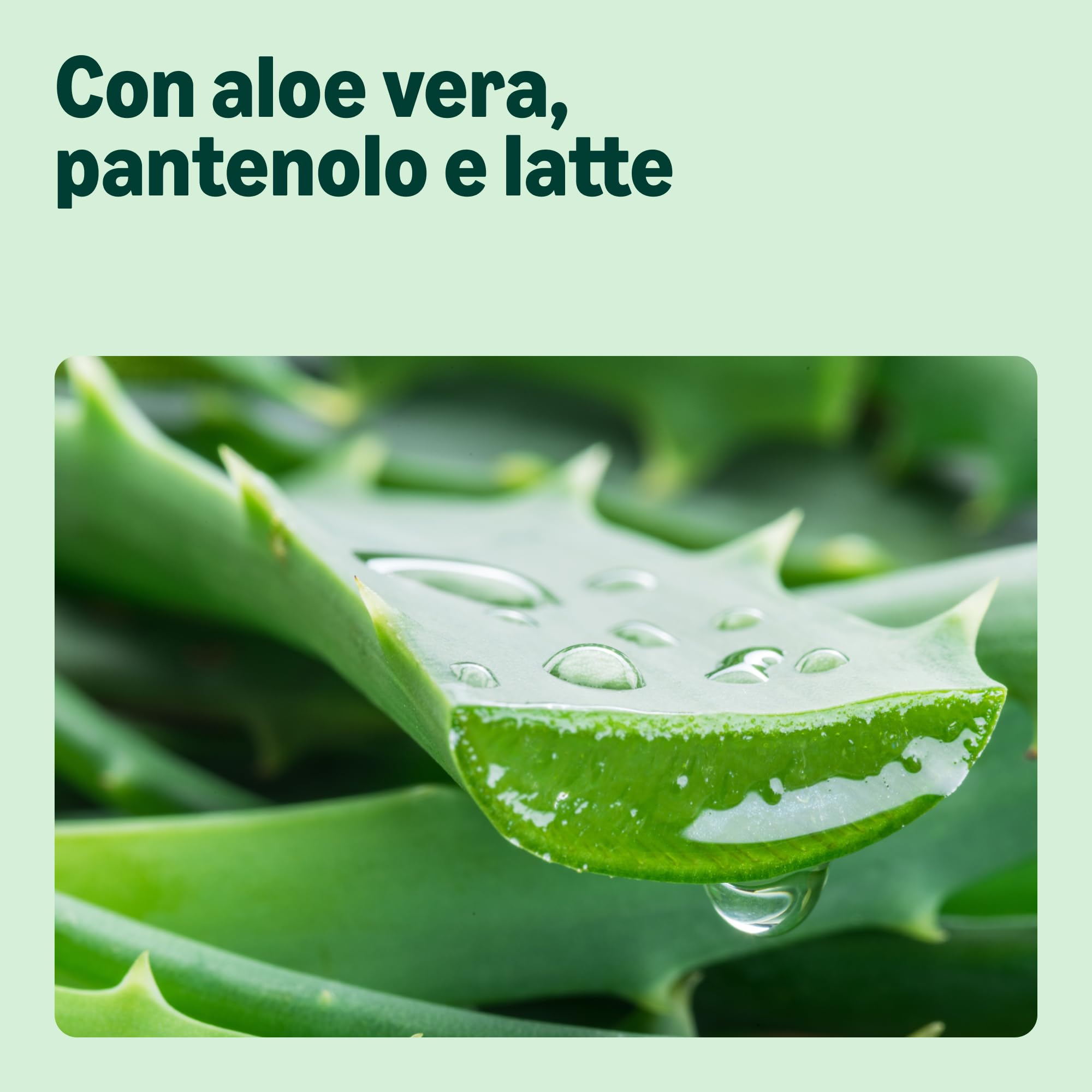by Amazon Gel Doccia Aloe Vera pH Neutro 2x500 ml