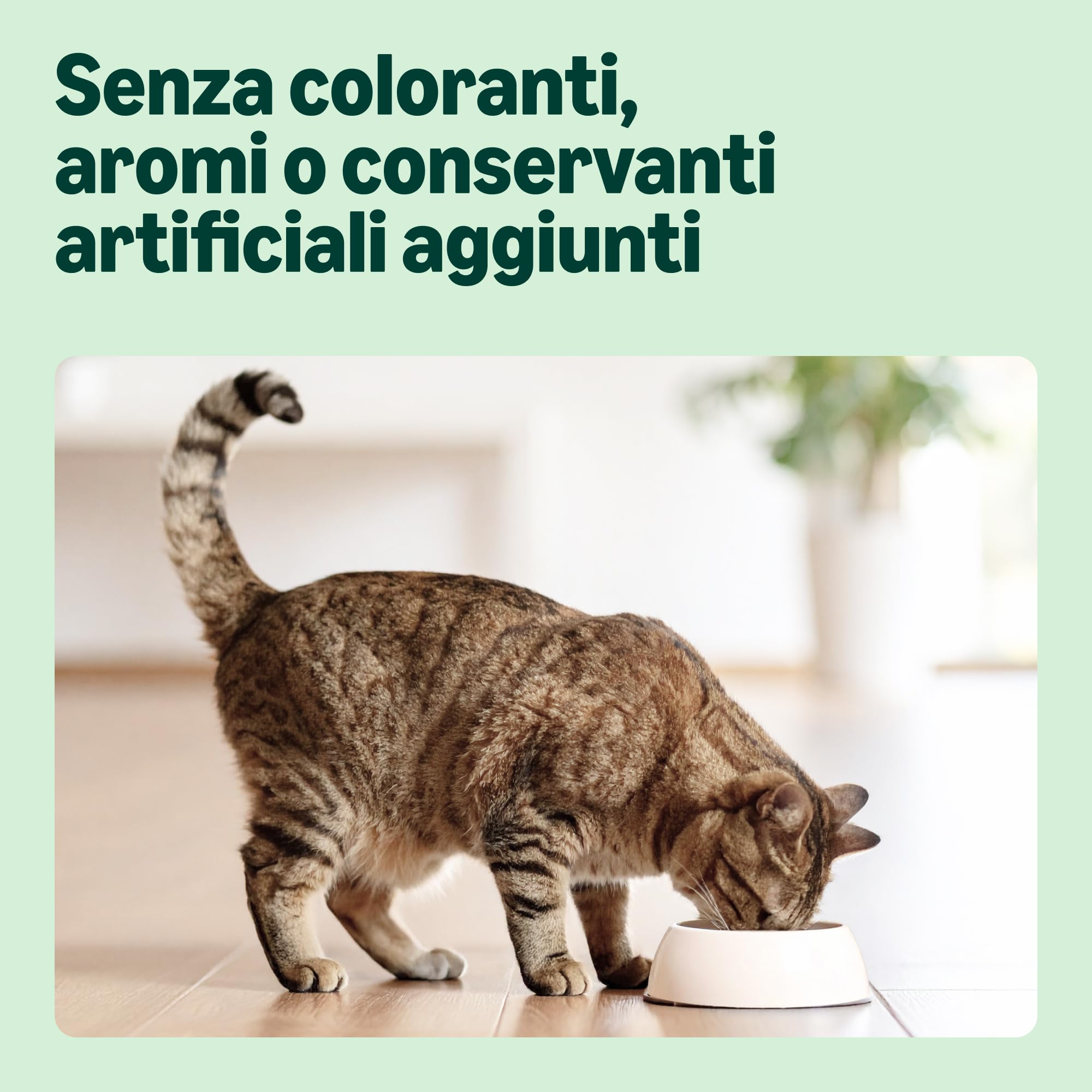 by Amazon Crocchette Gatto Pollo Tacchino 3 Kg Adulti