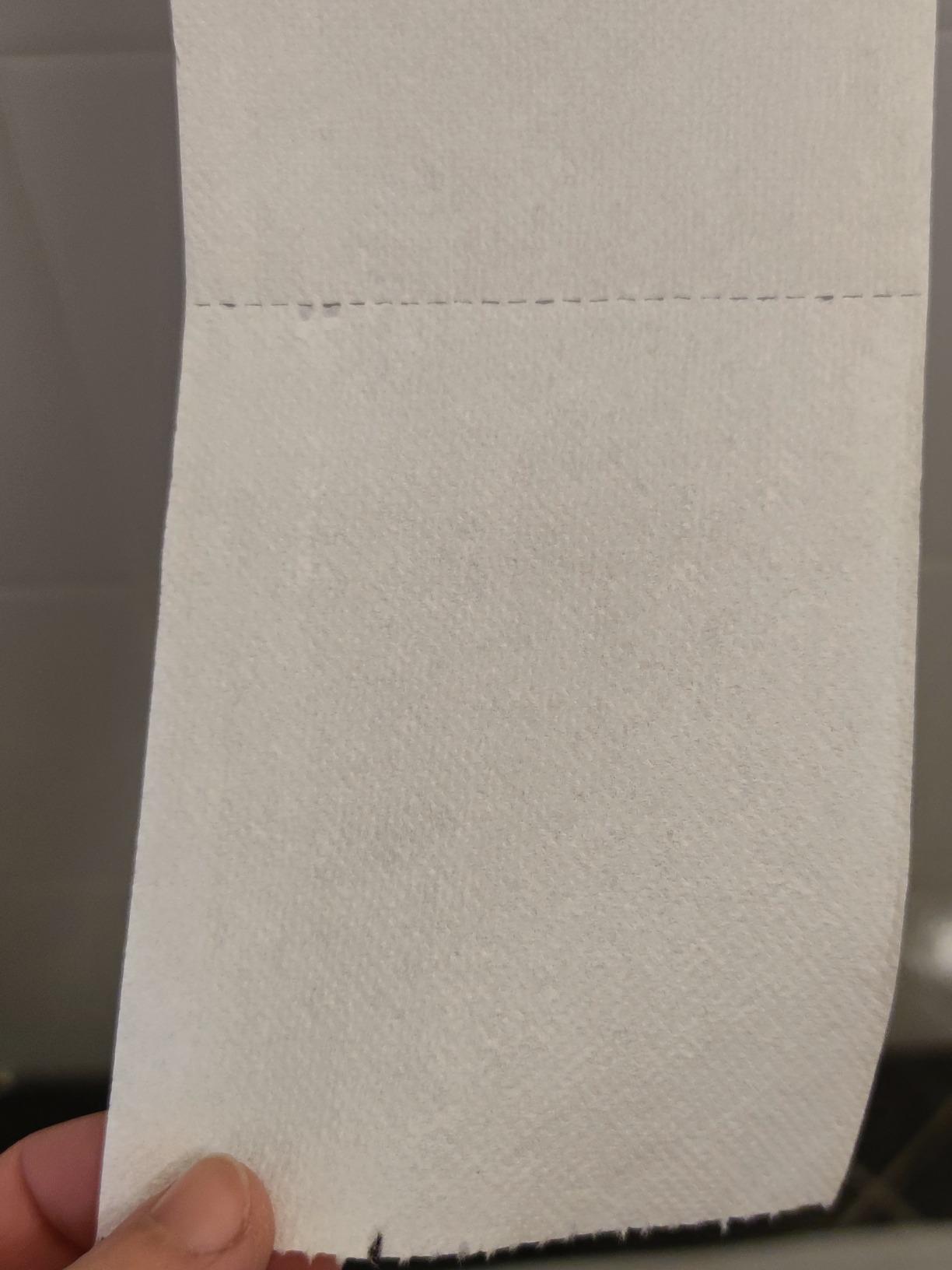 by Amazon Carta Igienica 2 Veli 36 Rotoli Morbida 210 Strappi