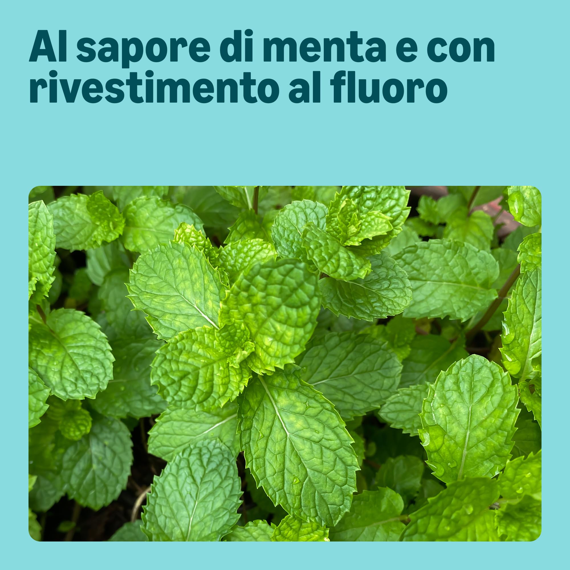 by Amazon Forcelle Interdentali Menta 180 pz Fluorurate