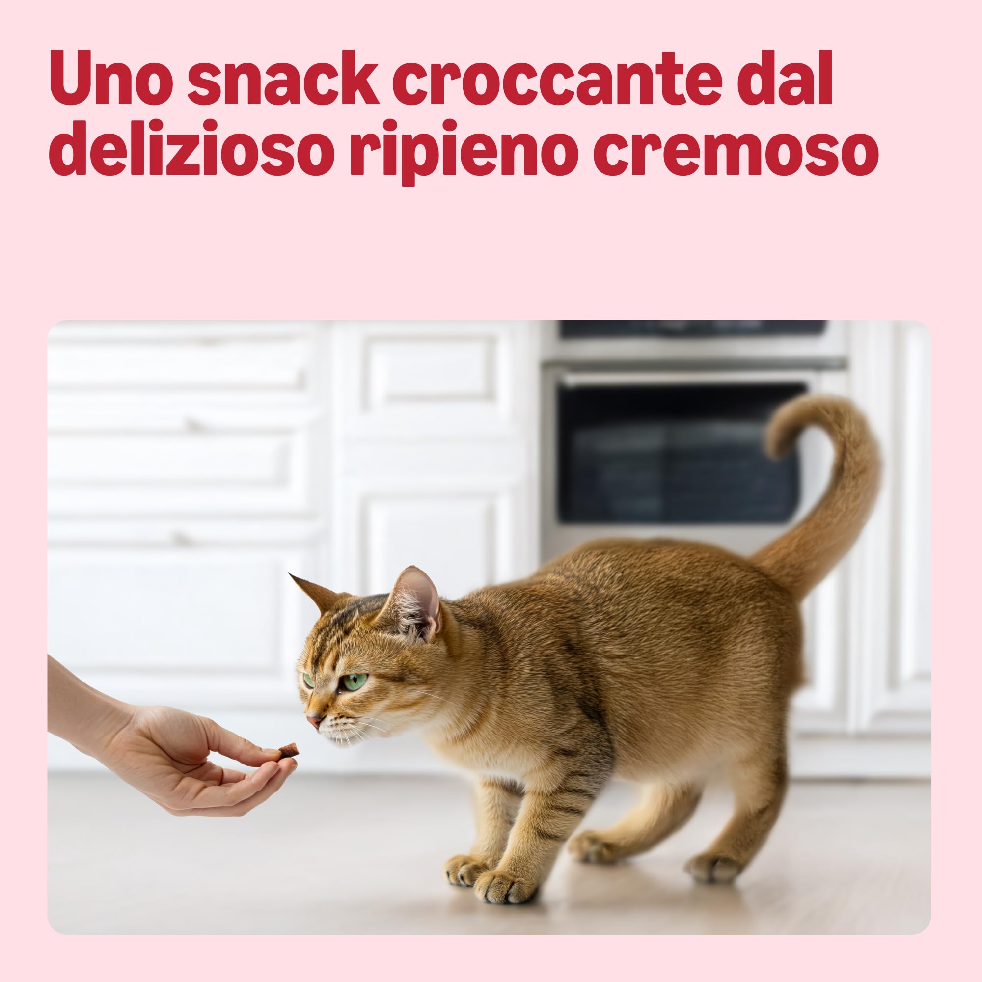 by Amazon Snack Gatti Manzo e Malto 70 g anti-bolo di pelo