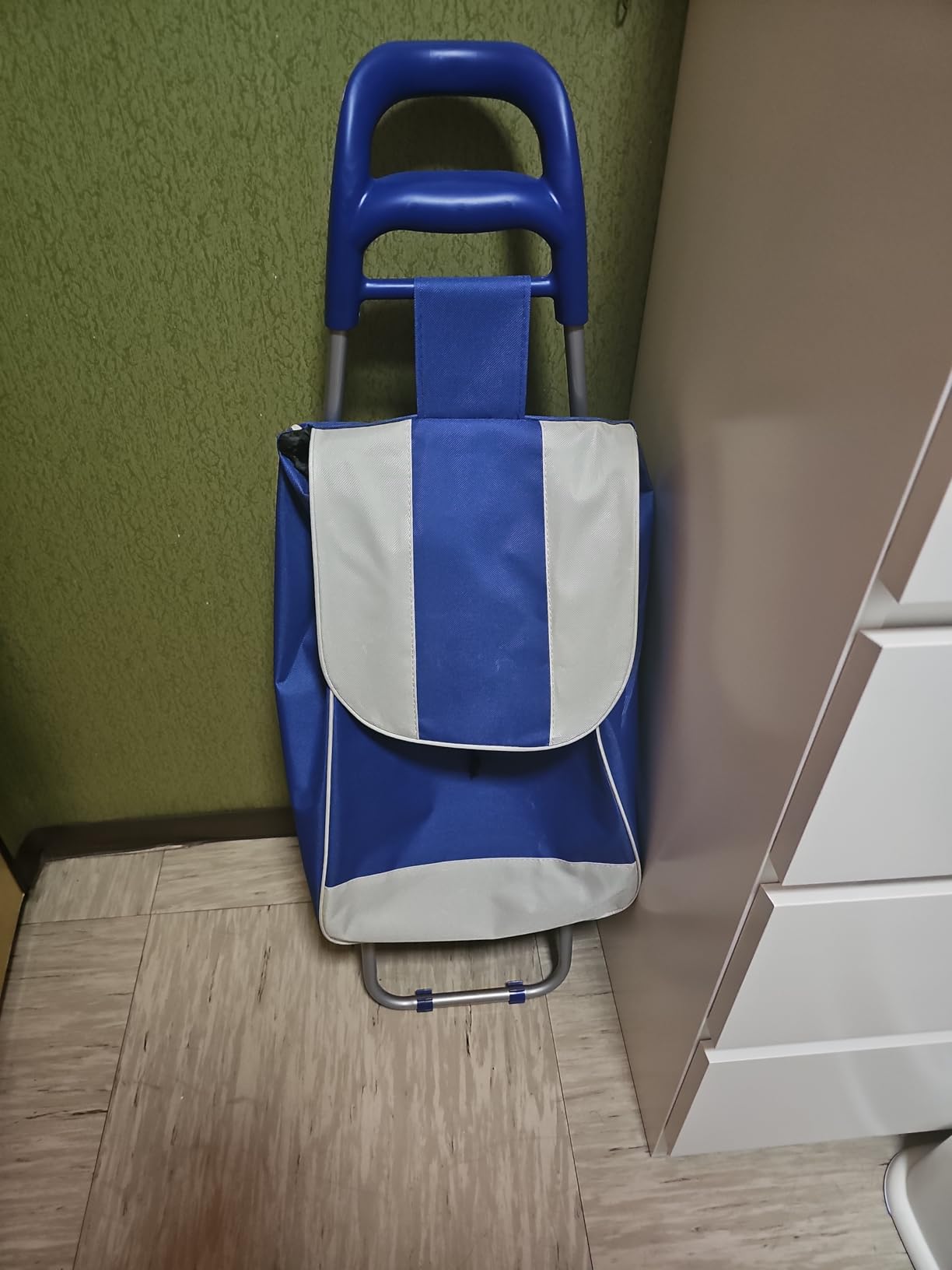 Akitaink Carrello Portaspesa 42L Trolley Antipioggia con Zip