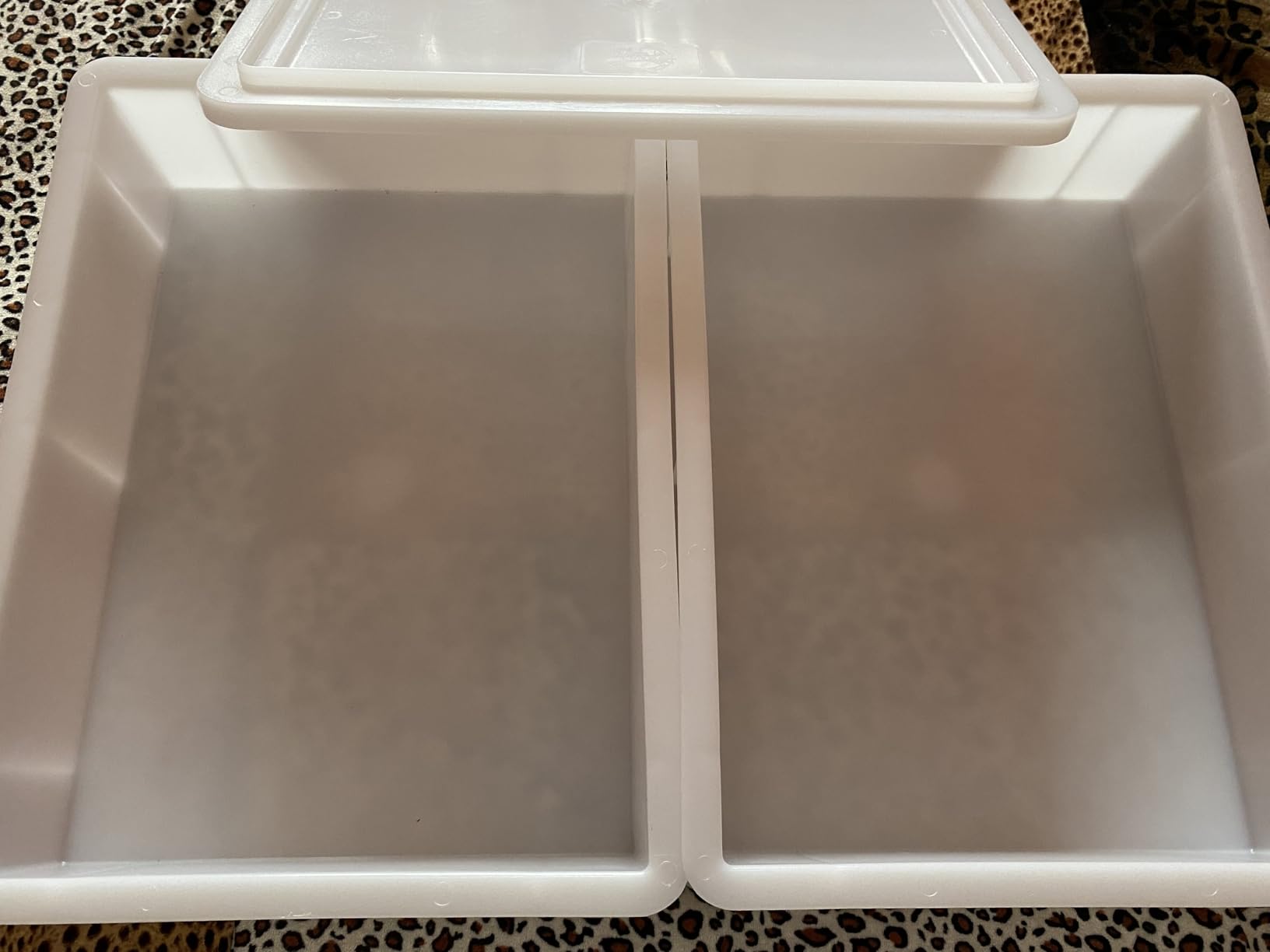 Akitaink Cassetta Lievitazione portaimpasto 30x40x10 cm set 2 pezzi