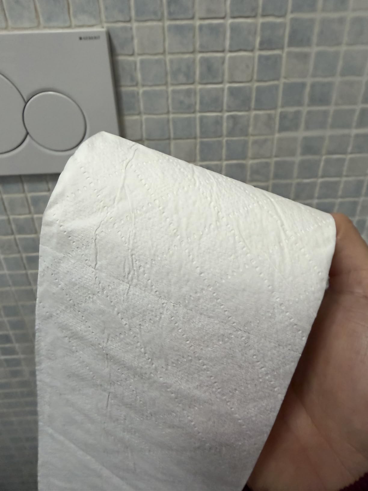 by Amazon Carta Igienica Maxi Rotolo 2 Veli 20 Rotoli