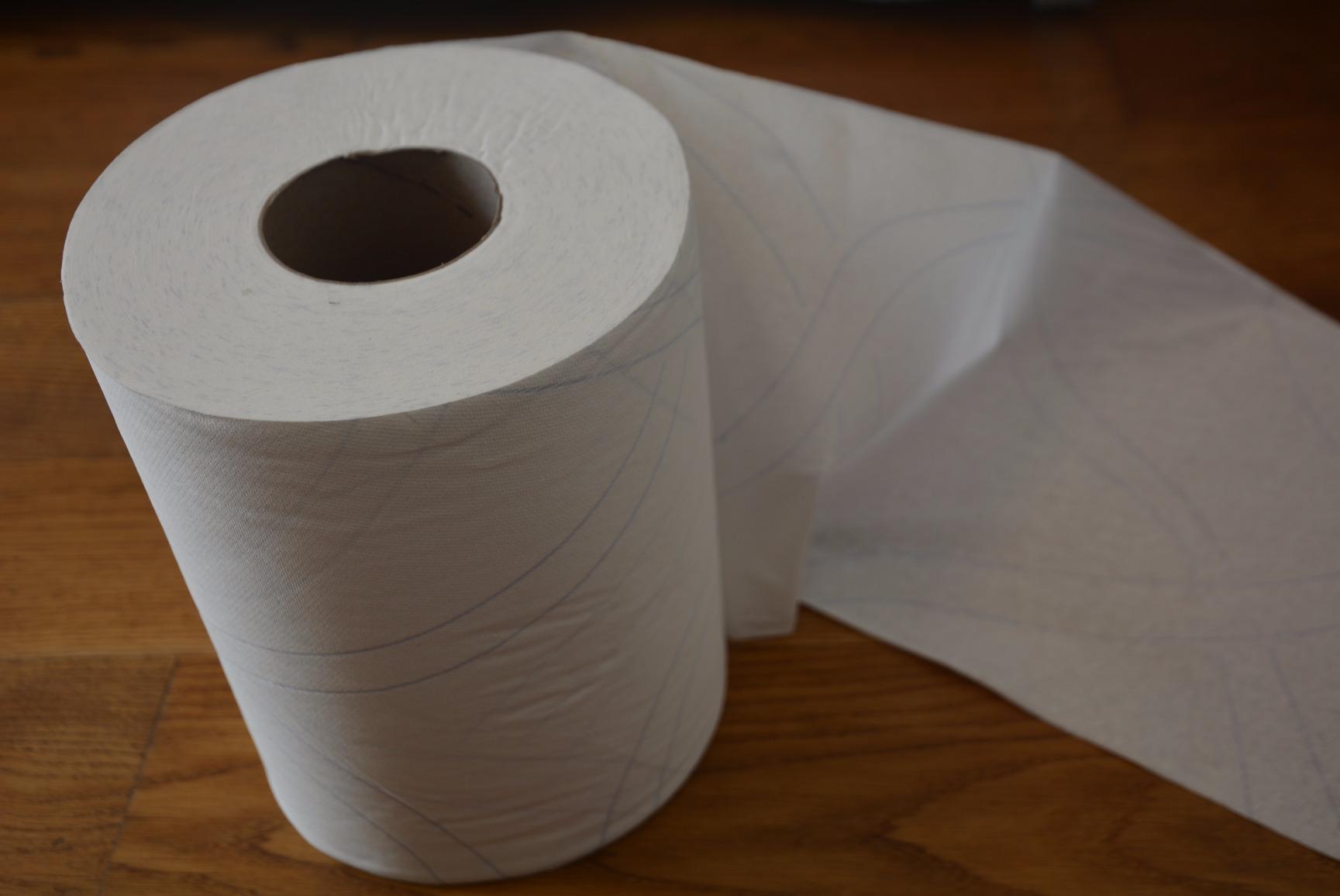 Tork Plus carta asciugatura 6 rotoli 450 fogli assorbente